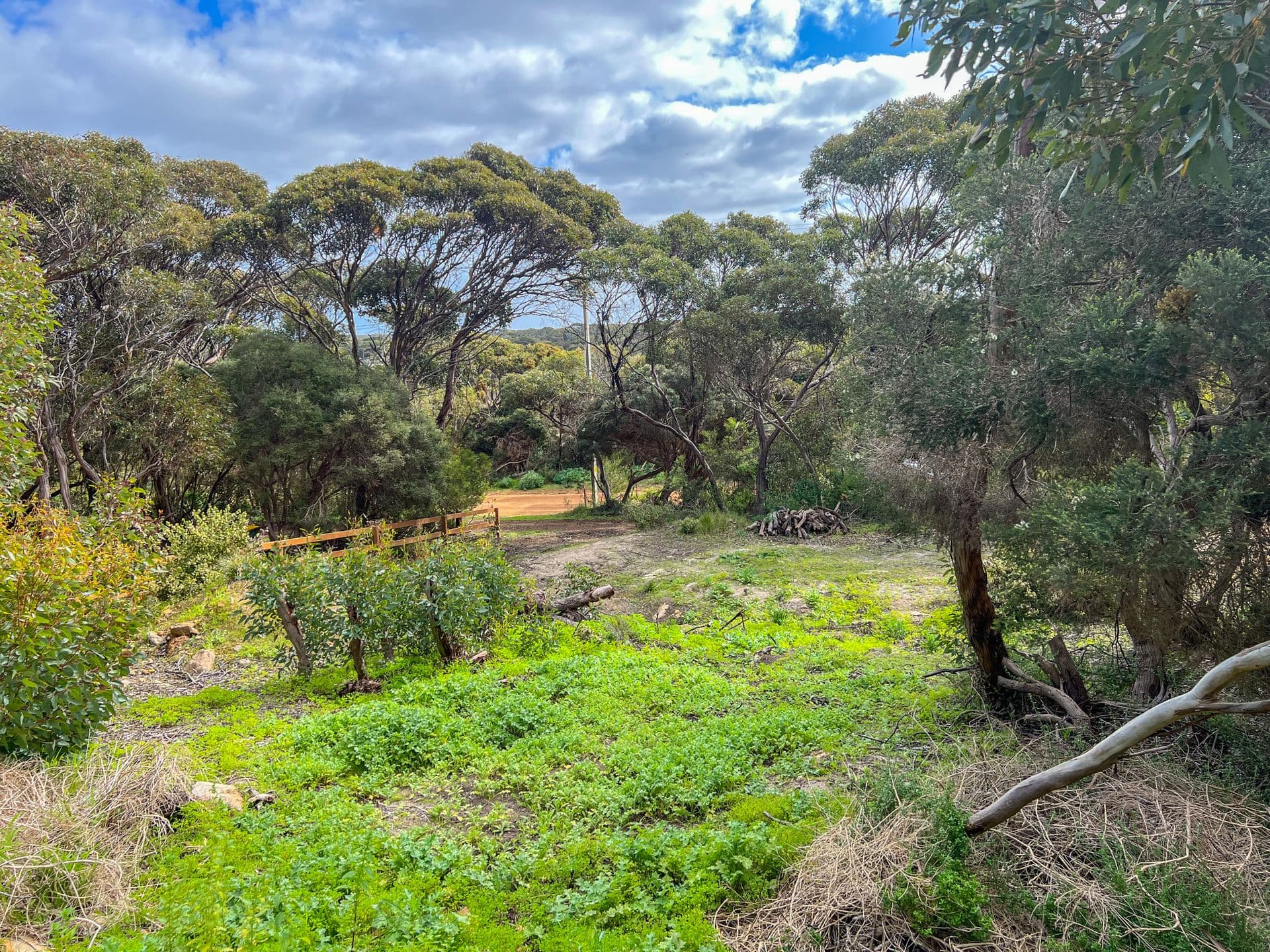 25 Bayview Road, Vivonne Bay, SA, 5223, Vivonne Bay - Thumbnail 5