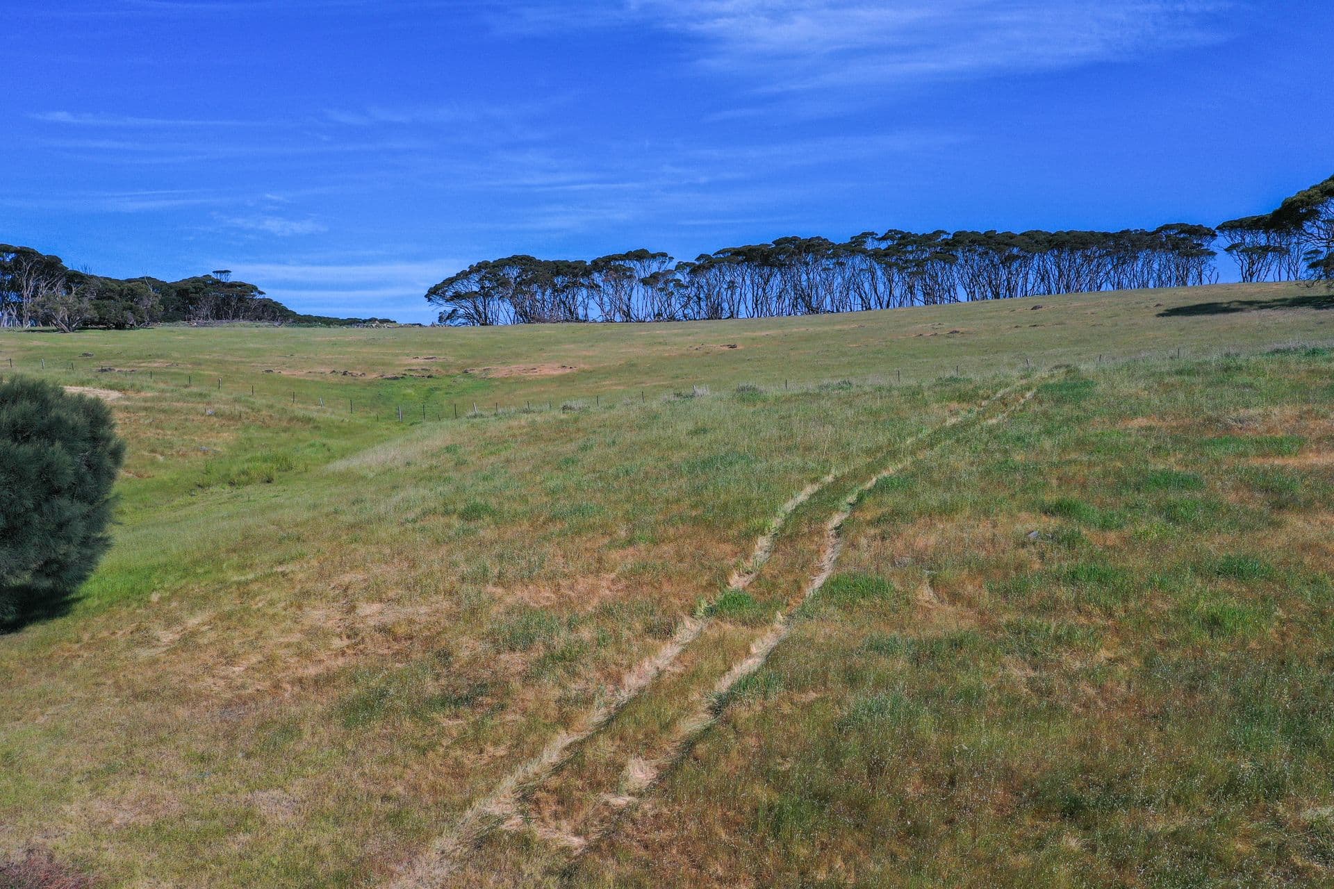 147 Binneys Track, Penneshaw, SA, 5222, Penneshaw - Thumbnail 5