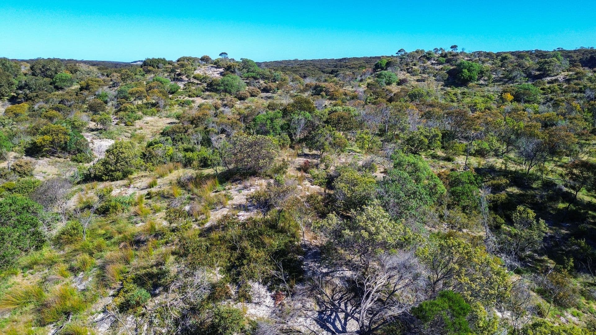 57-59 Borda Road, Island Beach, SA, 5222, Island Beach - Thumbnail 8