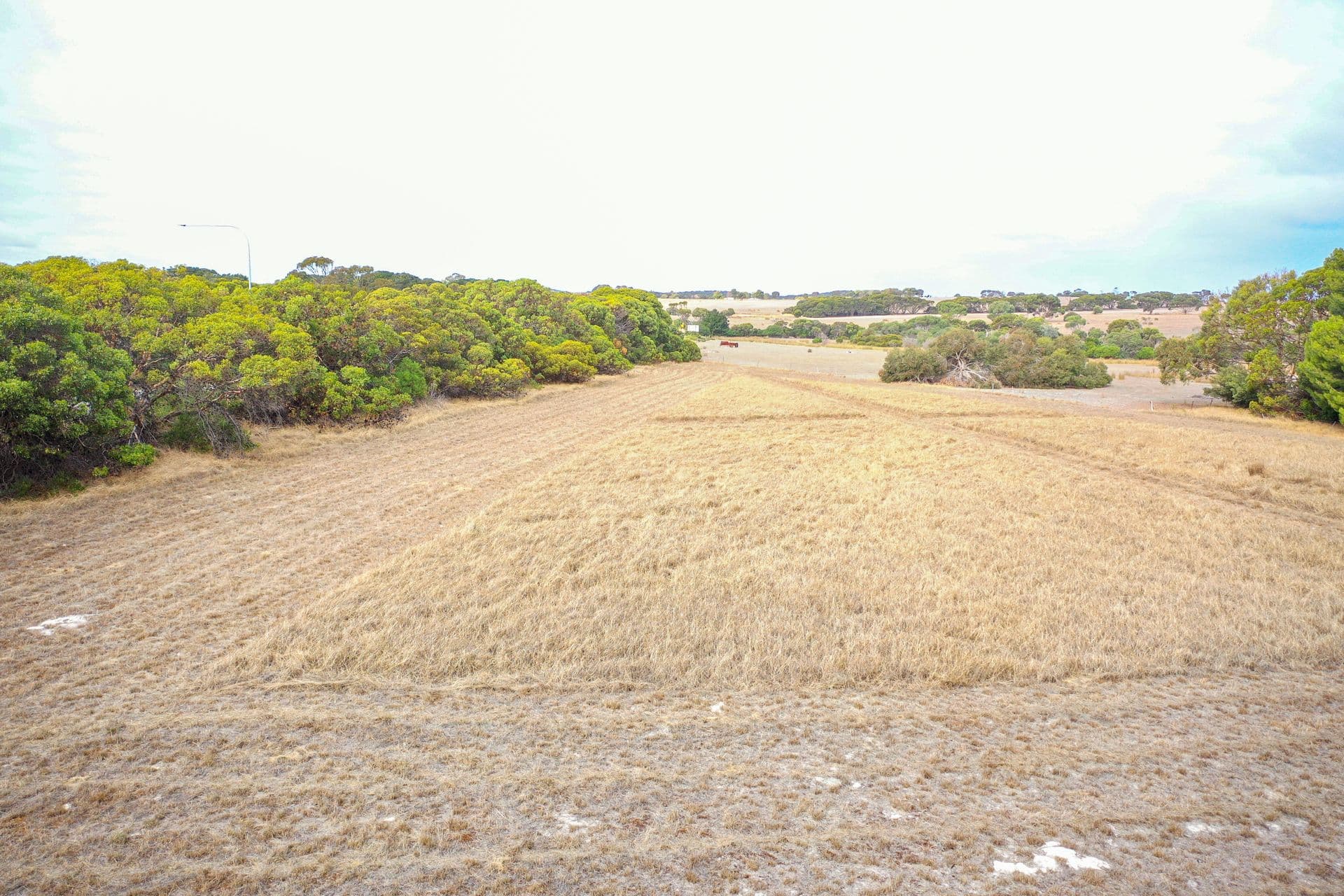 Lot 1 Hog Bay Road, Haines, SA, 5223, Haines - Thumbnail 7