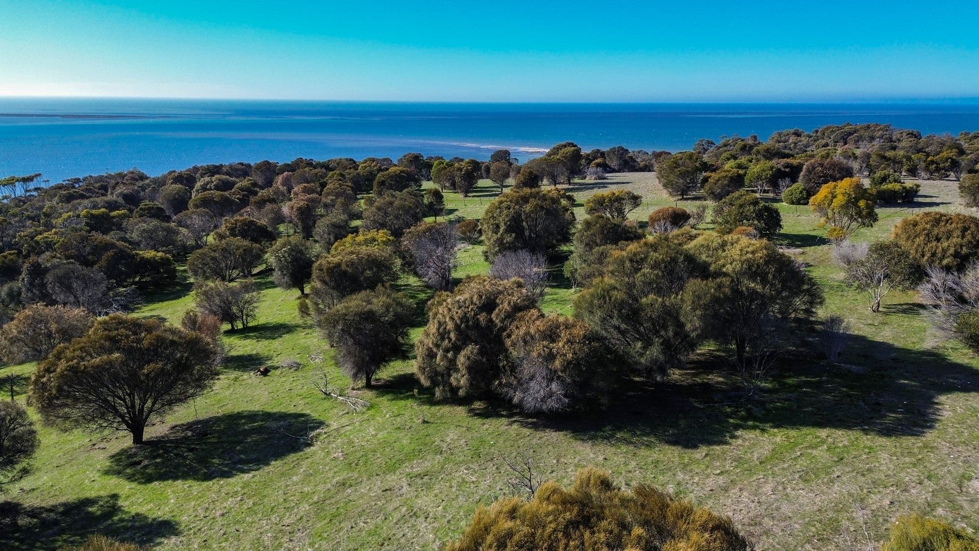 Lot 803 Seaview Road, Kingscote, SA, 5223, Kingscote - Thumbnail 6