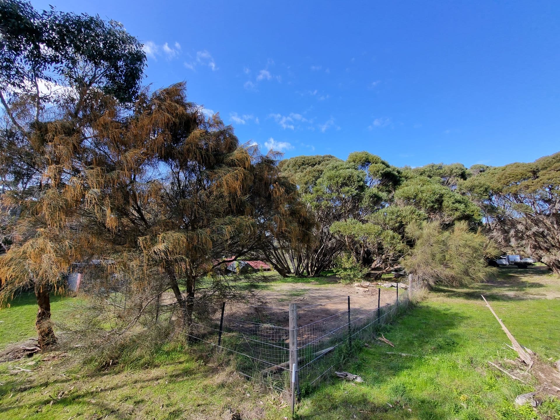 559 Thomas Road, American River, SA, 5221, American River - Thumbnail 3