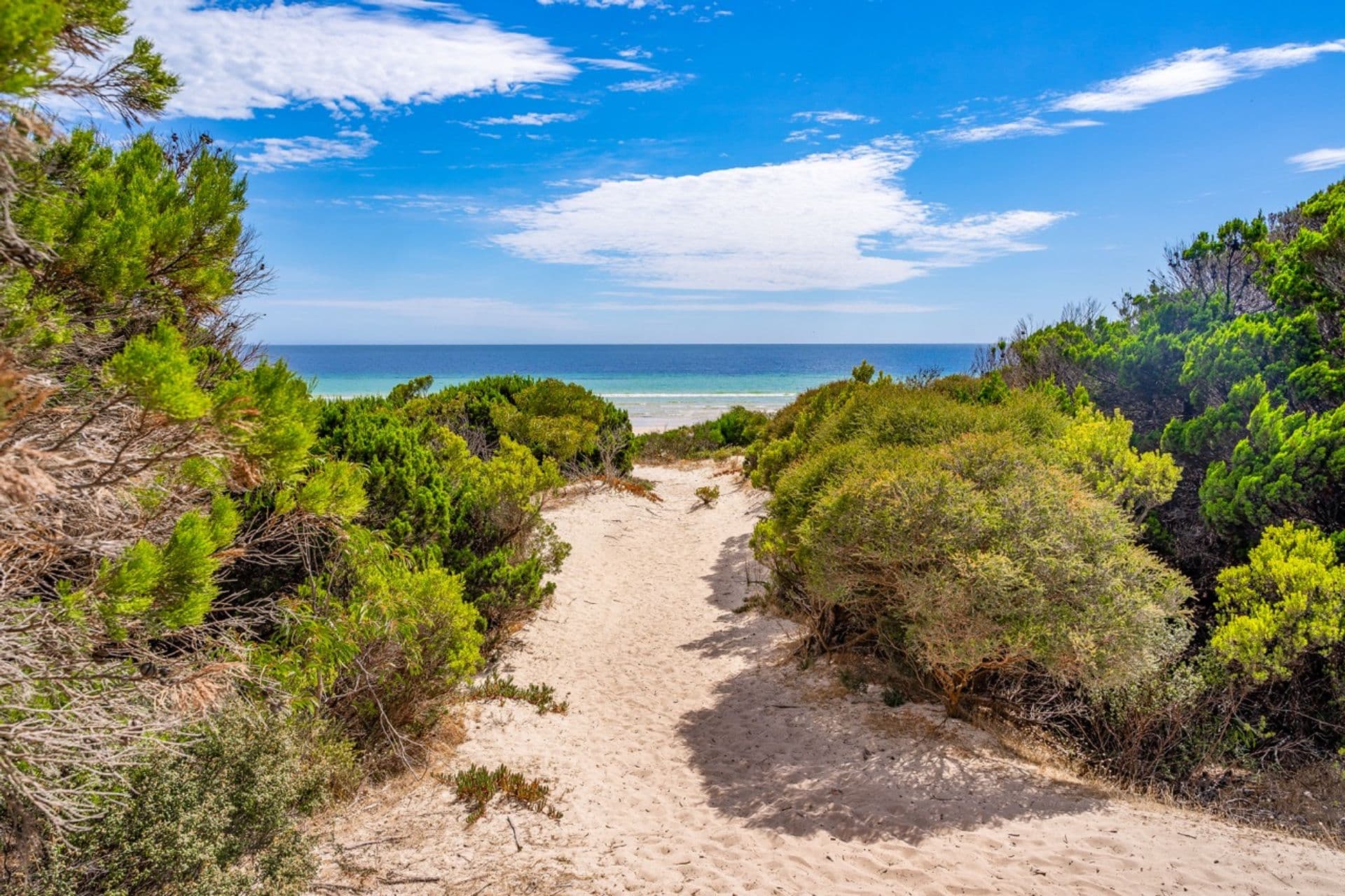 17 Flinders Grove, Island Beach, SA, 5222, Island Beach - Thumbnail 4