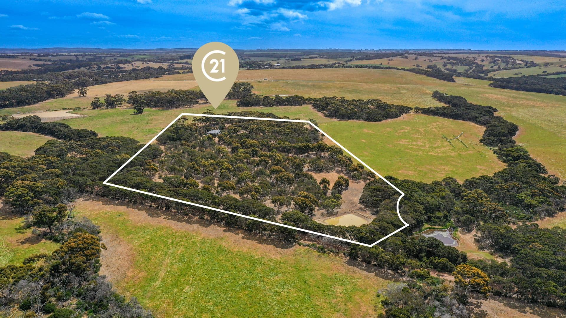 51 Rose Cottage Road, Menzies, SA, 5223, Menzies - Thumbnail 3