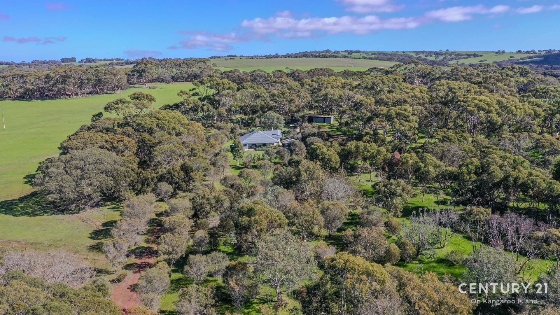 51 Rose Cottage Road, Menzies, SA, 5223, Menzies - Thumbnail 2