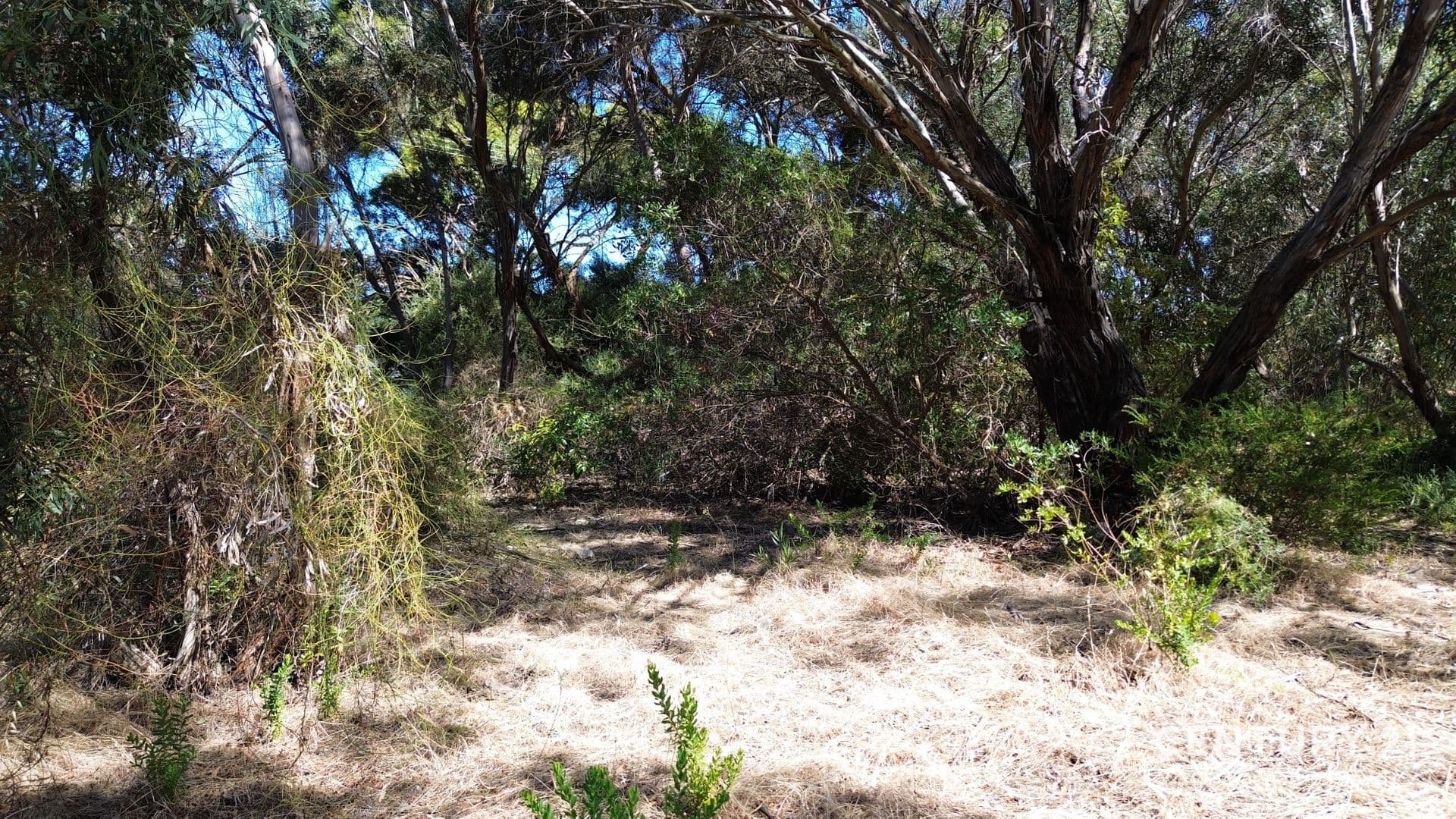 22 Brownlow Crescent, Kingscote, SA, 5223, Kingscote - Thumbnail 4