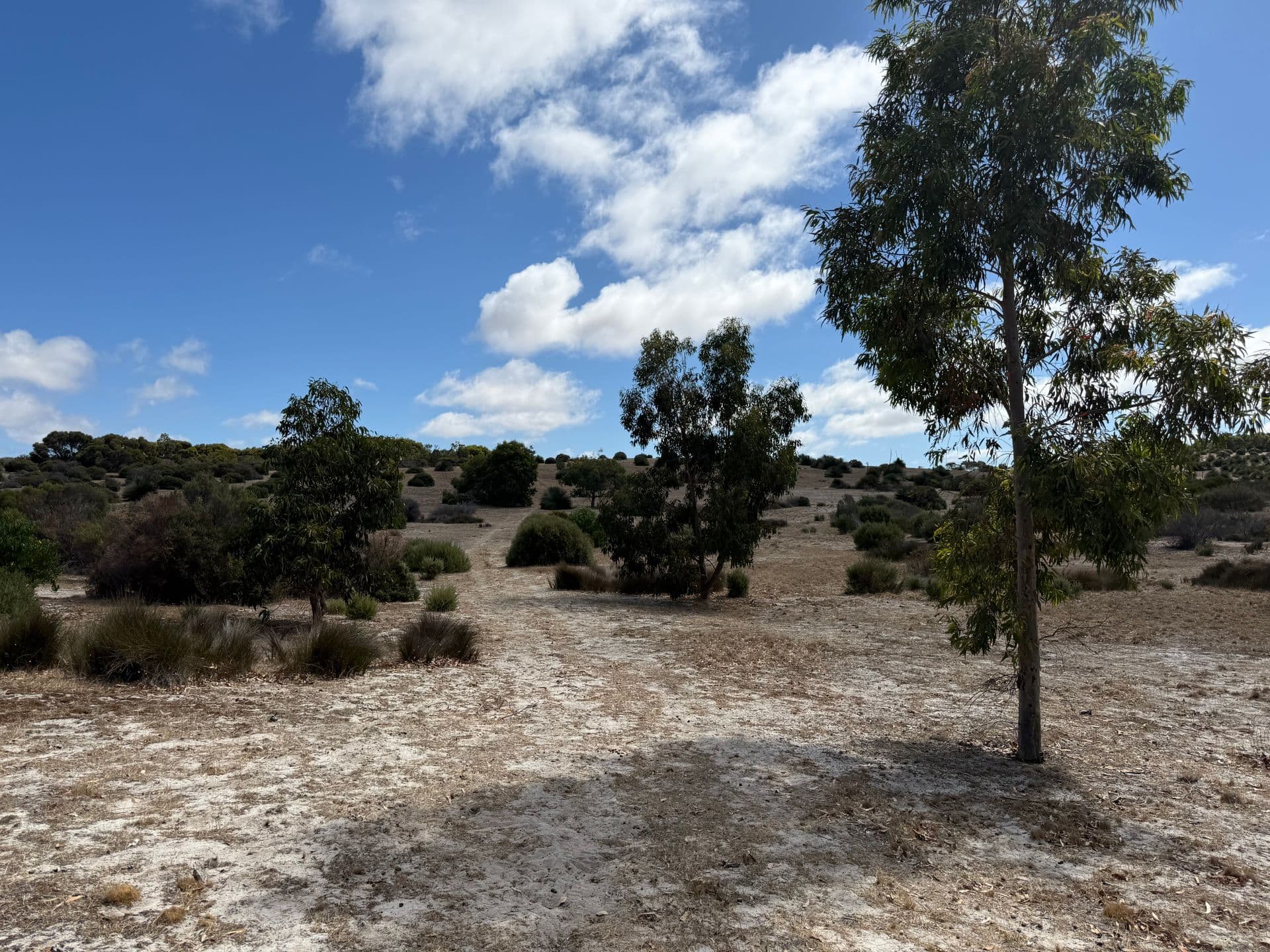 Lot 102 Old Salt Lake Road, Haines, SA, 5223, Haines - Thumbnail 4