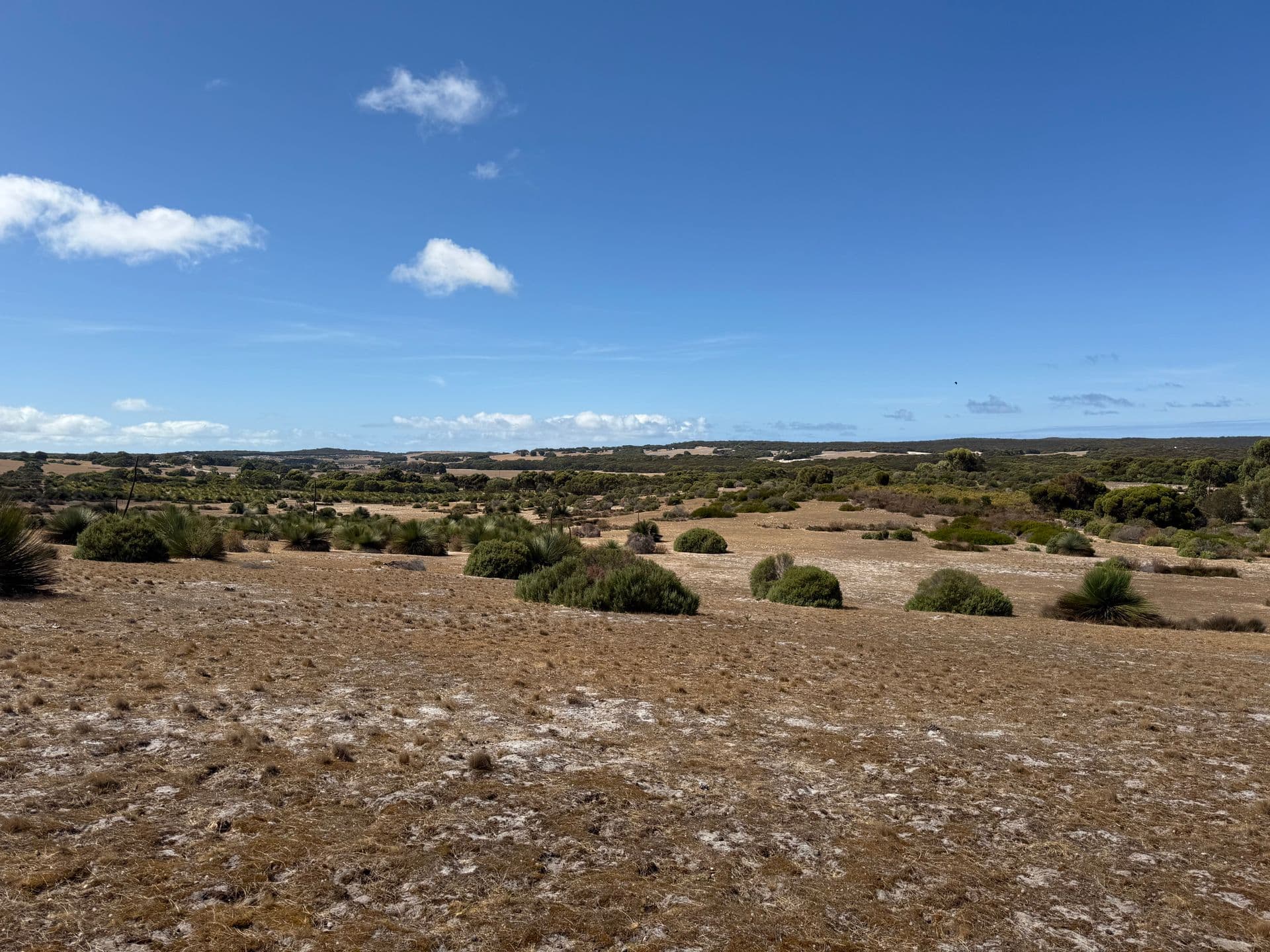 Lot 102 Old Salt Lake Road, Haines, SA, 5223, Haines - Thumbnail 6