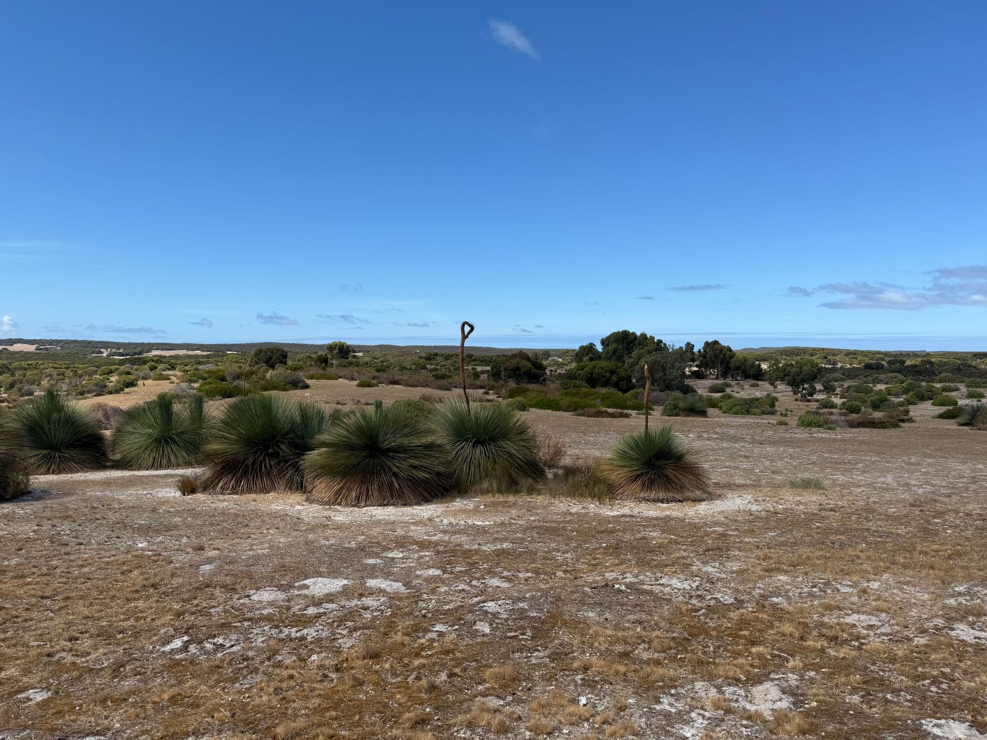 Lot 102 Old Salt Lake Road, Haines, SA, 5223, Haines - Thumbnail 5