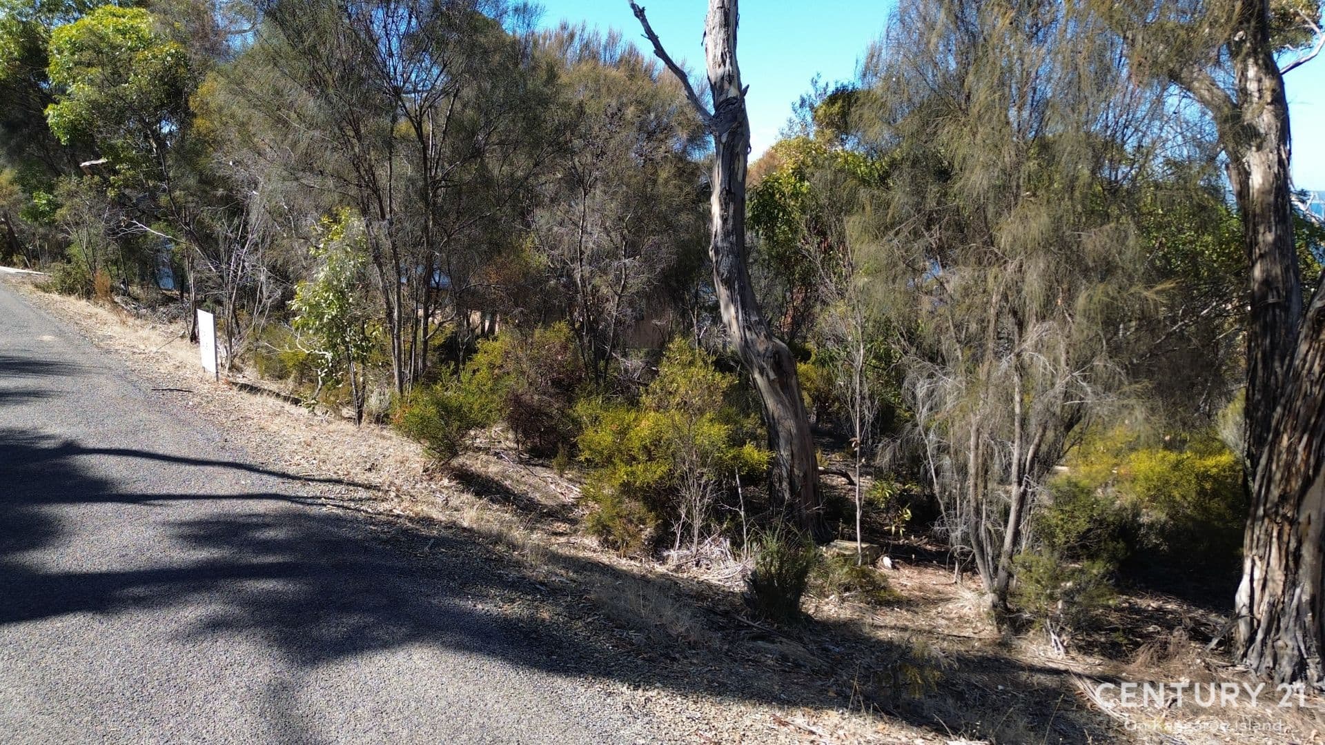 52 Bayview Road, American River, SA, 5221, American River - Thumbnail 6