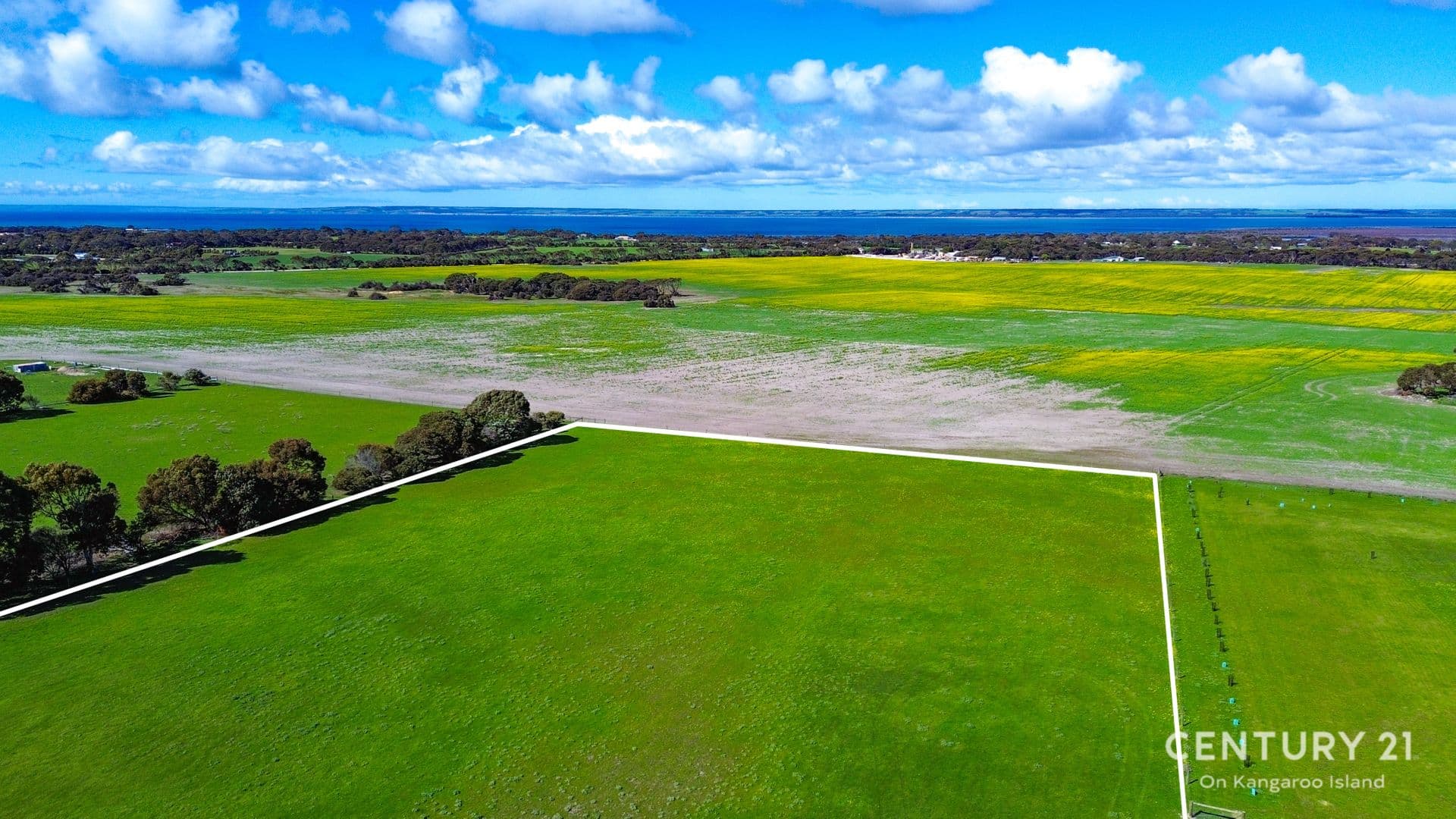 39 Glen Barrett Drive, Kingscote, SA, 5223, Kingscote - Thumbnail 4