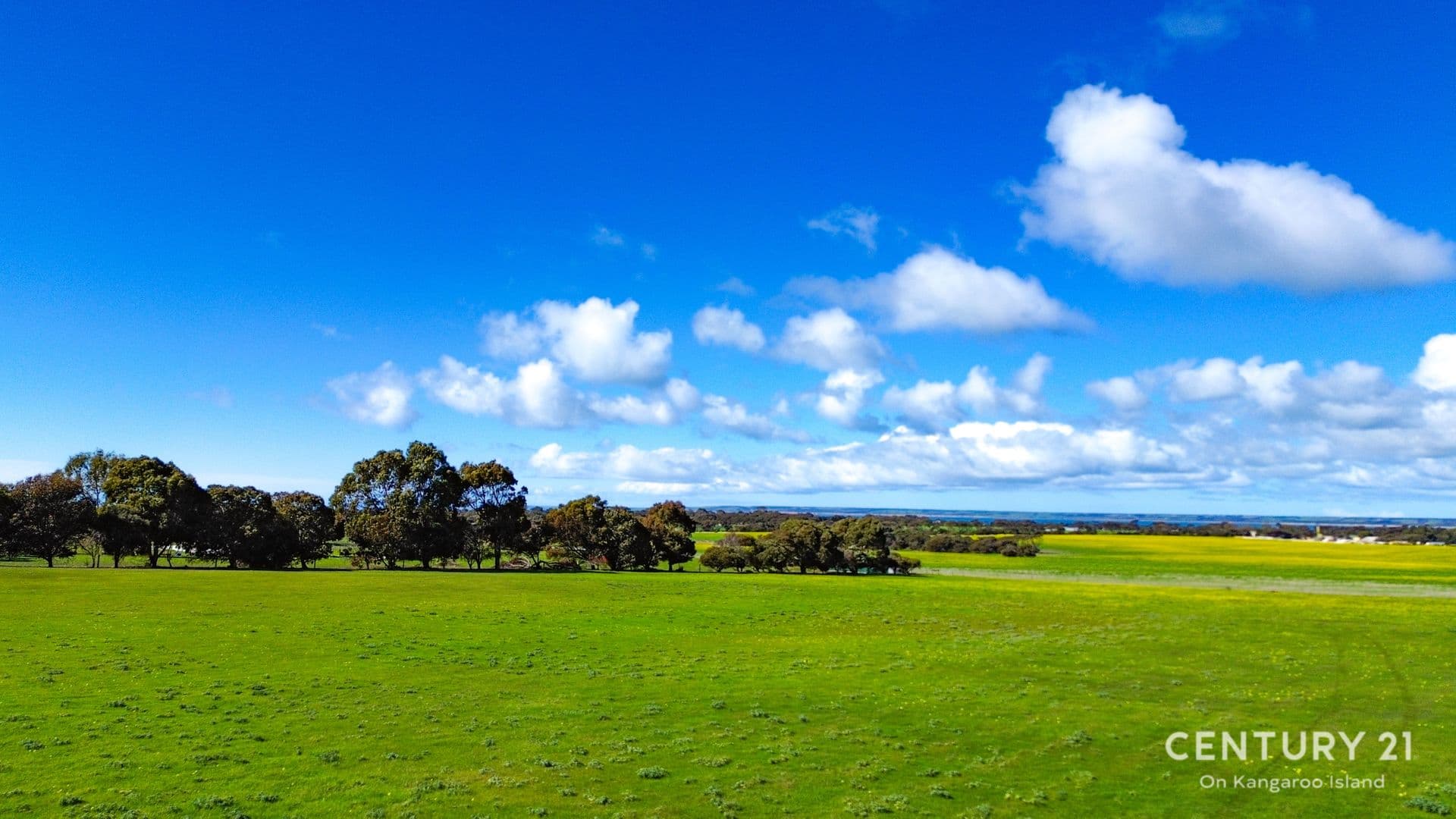 39 Glen Barrett Drive, Kingscote, SA, 5223, Kingscote - Thumbnail 7