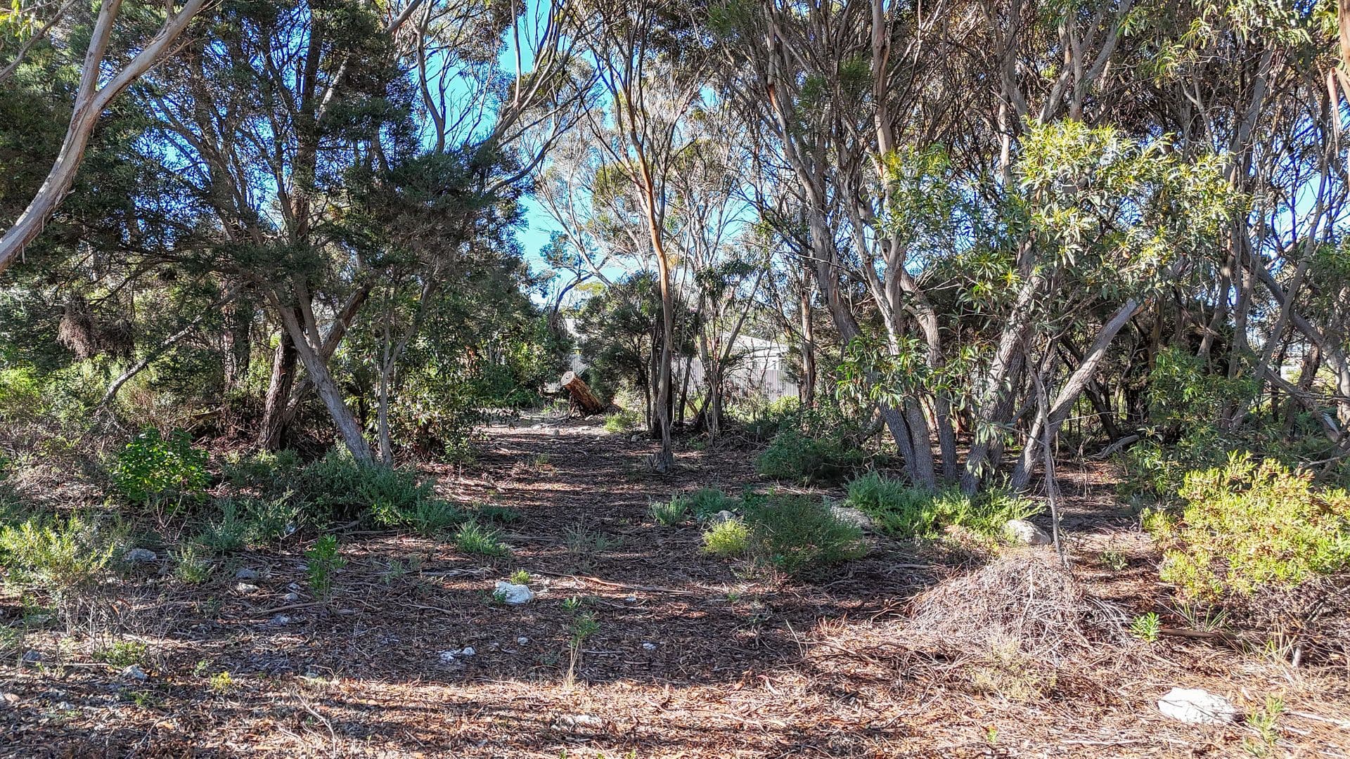12 Brownlow Crescent, Kingscote, SA, 5223, Kingscote - Thumbnail 5