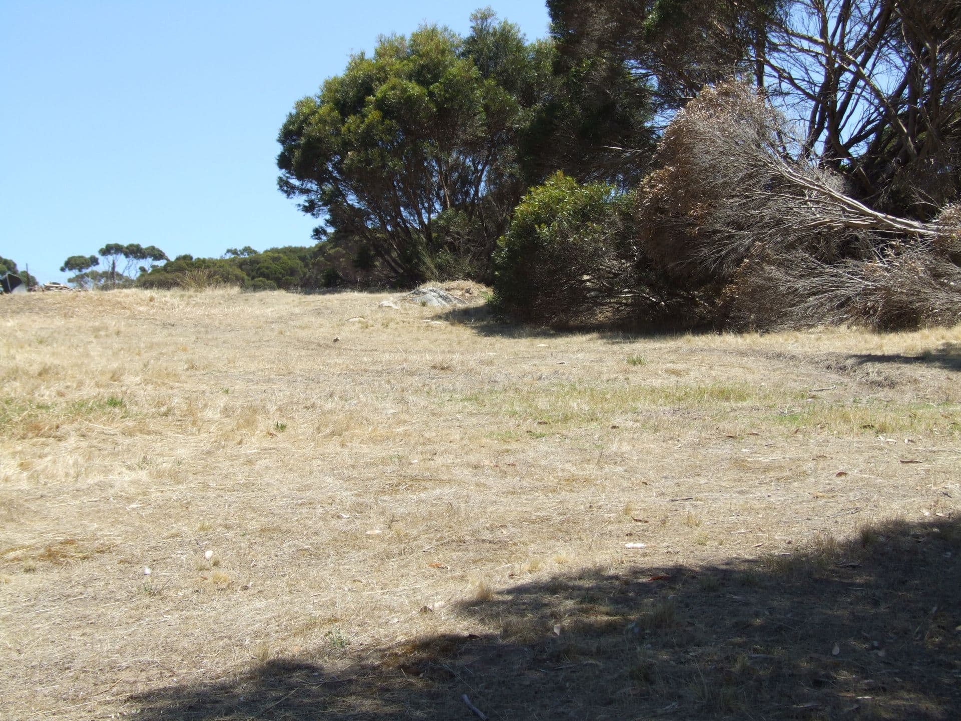 Lot 21 Longview Rd, American River, SA, 5221, American River - Thumbnail 4
