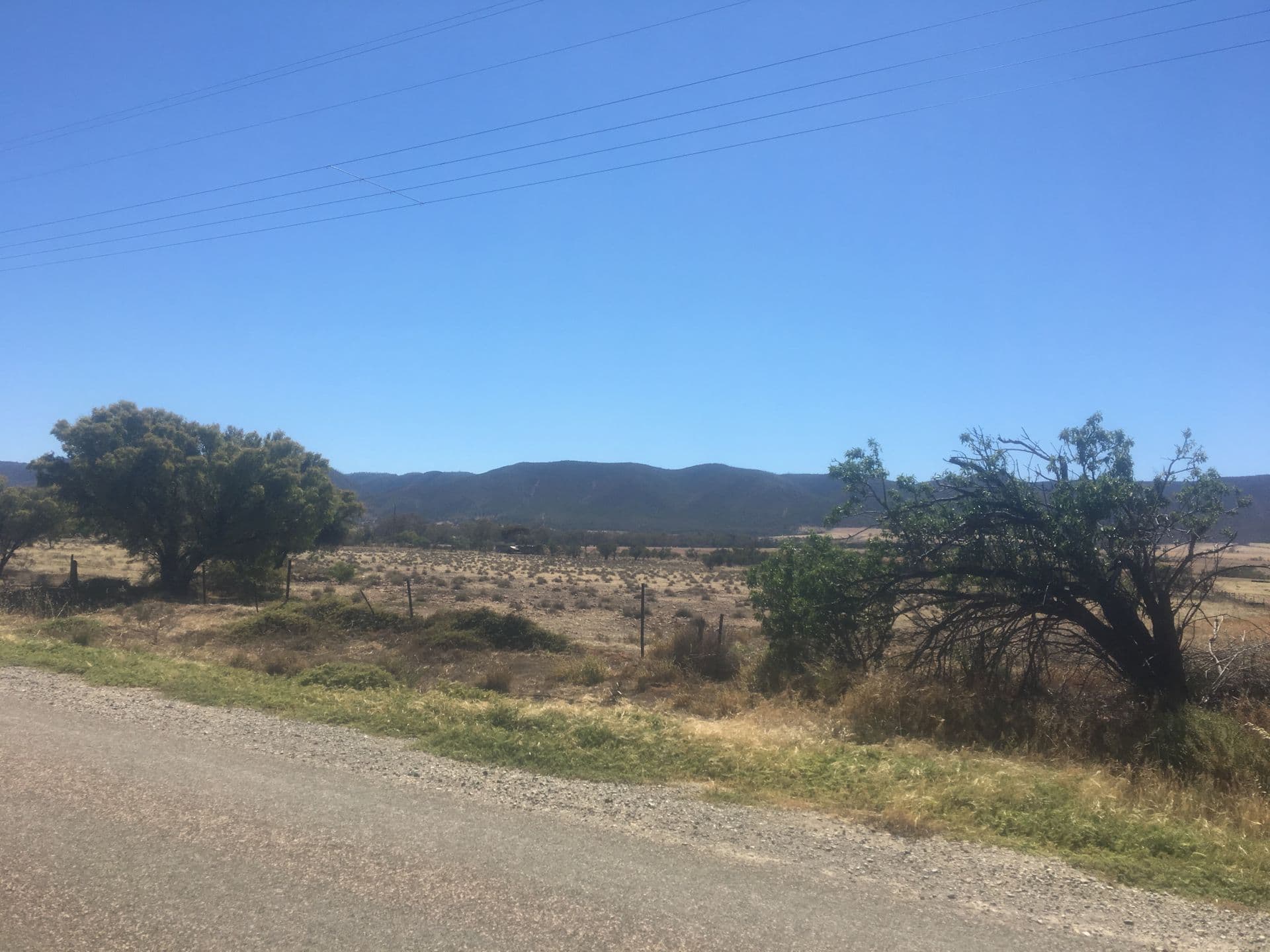Lot 1 Scenic Drive, Napperby, SA, 5540, Napperby - Thumbnail 2
