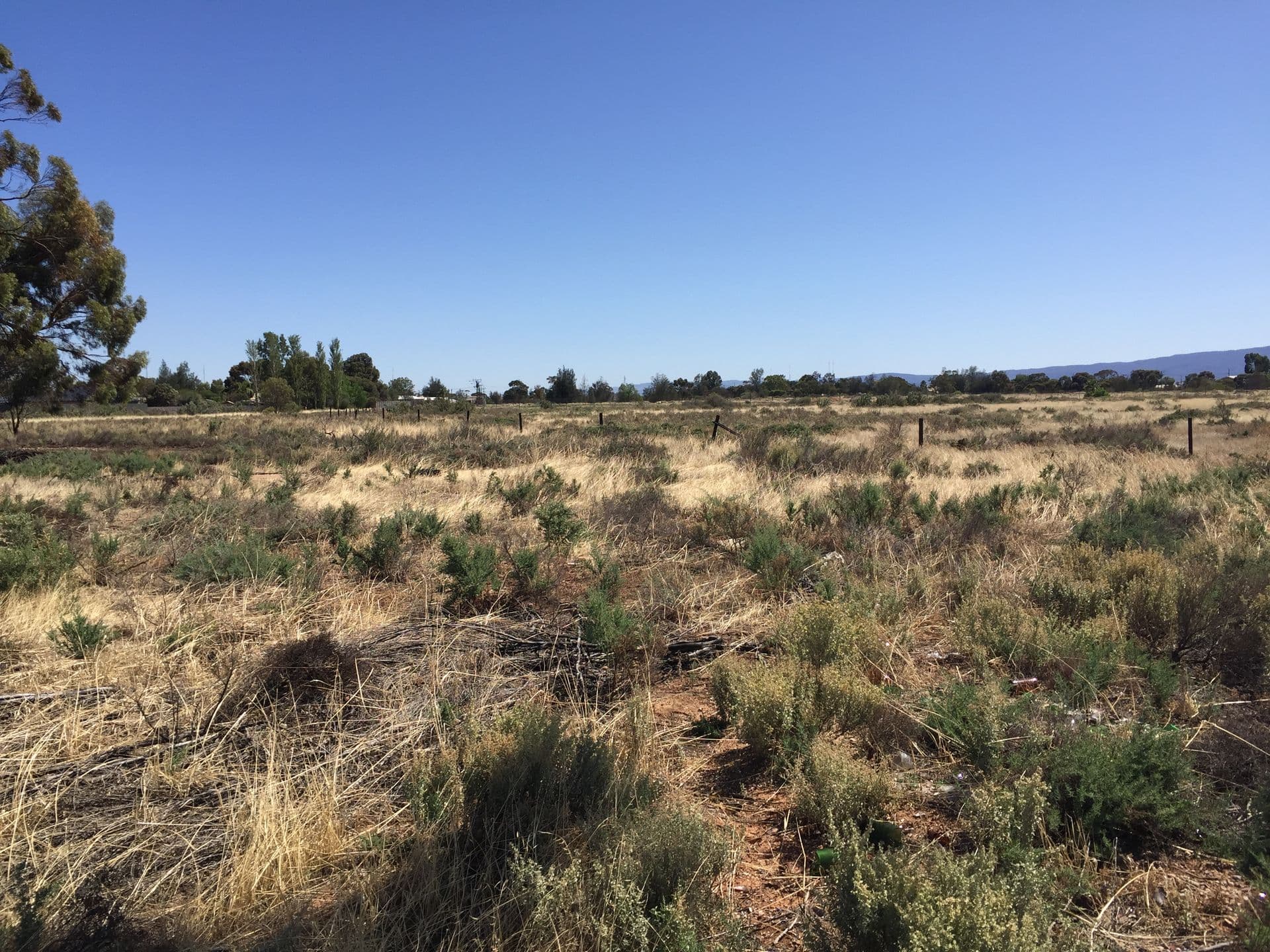Lot 366 Haslam Road, Port Pirie, SA, 5540, Port Pirie - Thumbnail 2