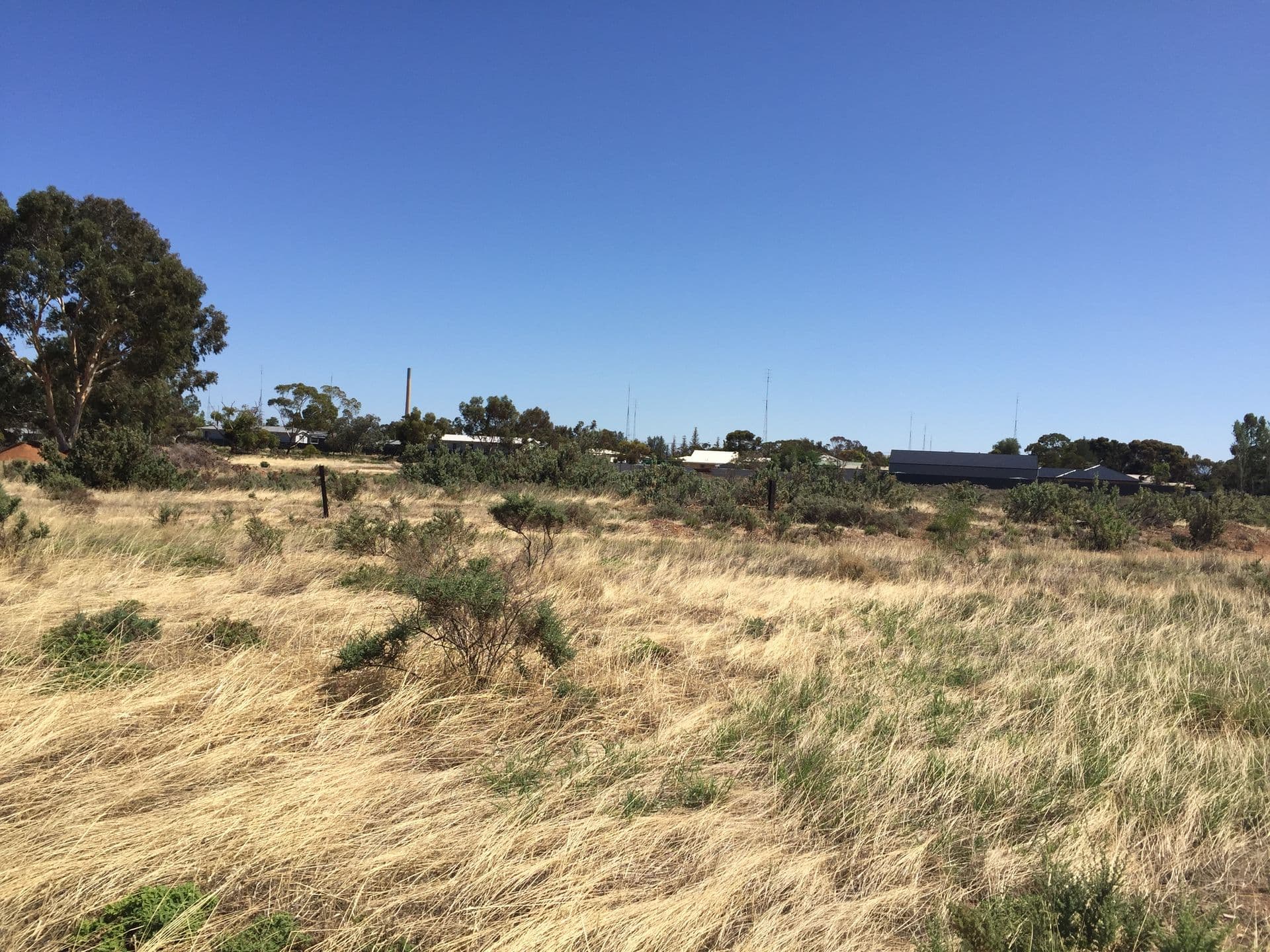 Lot 366 Haslam Road, Port Pirie, SA, 5540, Port Pirie - Thumbnail 4