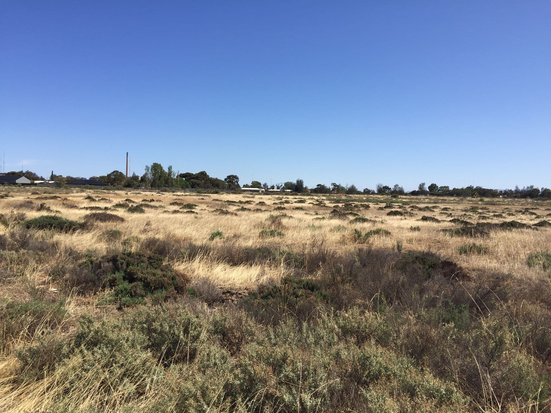 Lot 367 Haslam Road, Port Pirie, SA, 5540, Port Pirie - Image 1