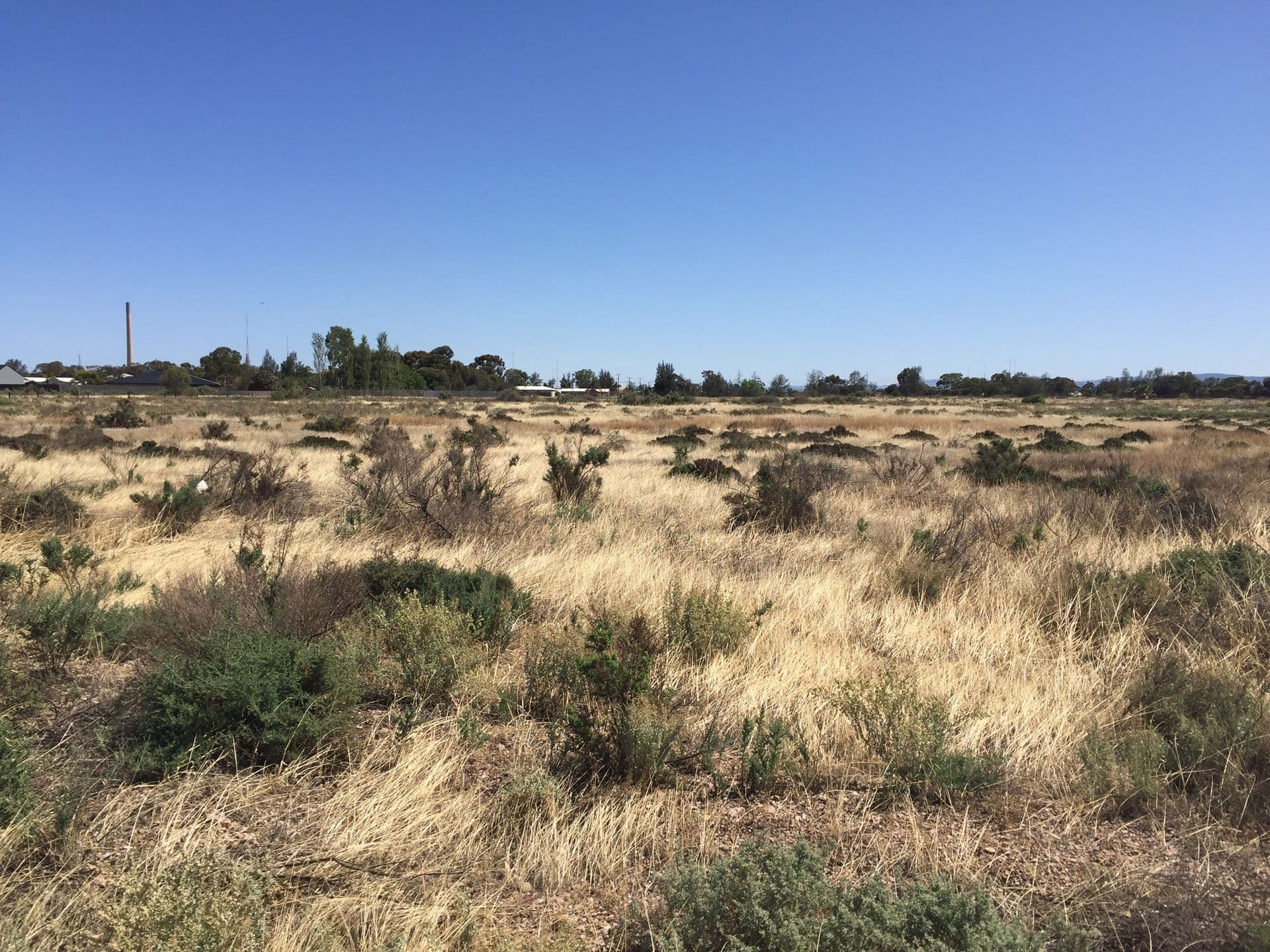 Lot 367 Haslam Road, Port Pirie, SA, 5540, Port Pirie - Thumbnail 3