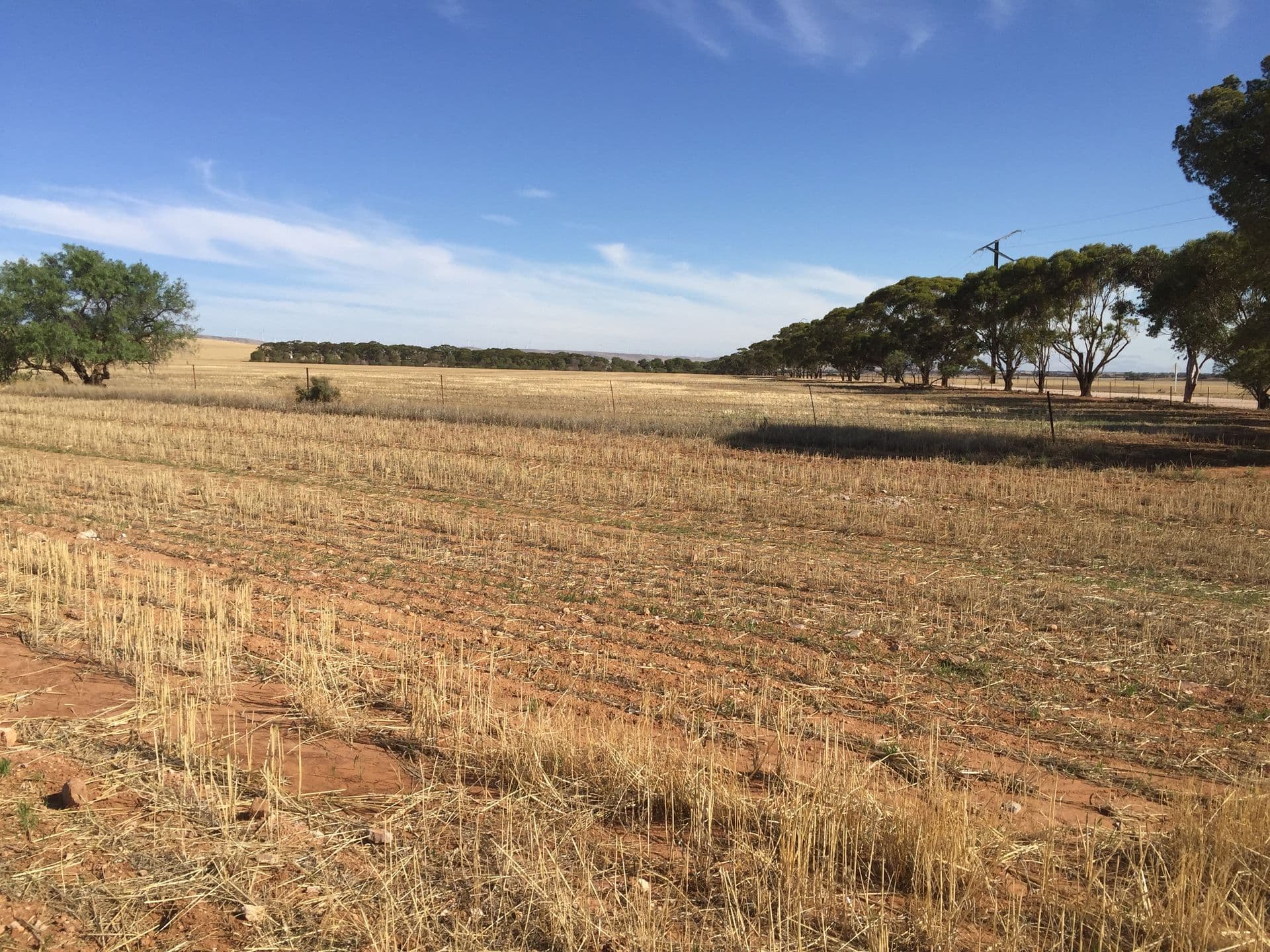 Section 350 Ingram Gap Road, Redhill, SA, 5521, Redhill - Thumbnail 2