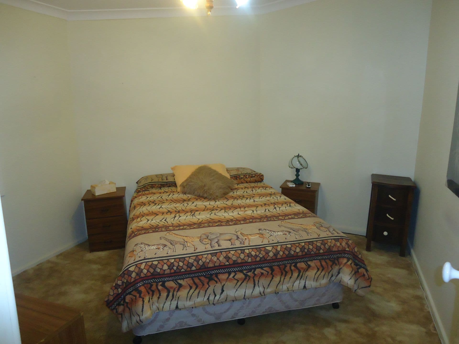 21 Simpson Road, Port Pirie, SA, 5540, Port Pirie South - Thumbnail 8