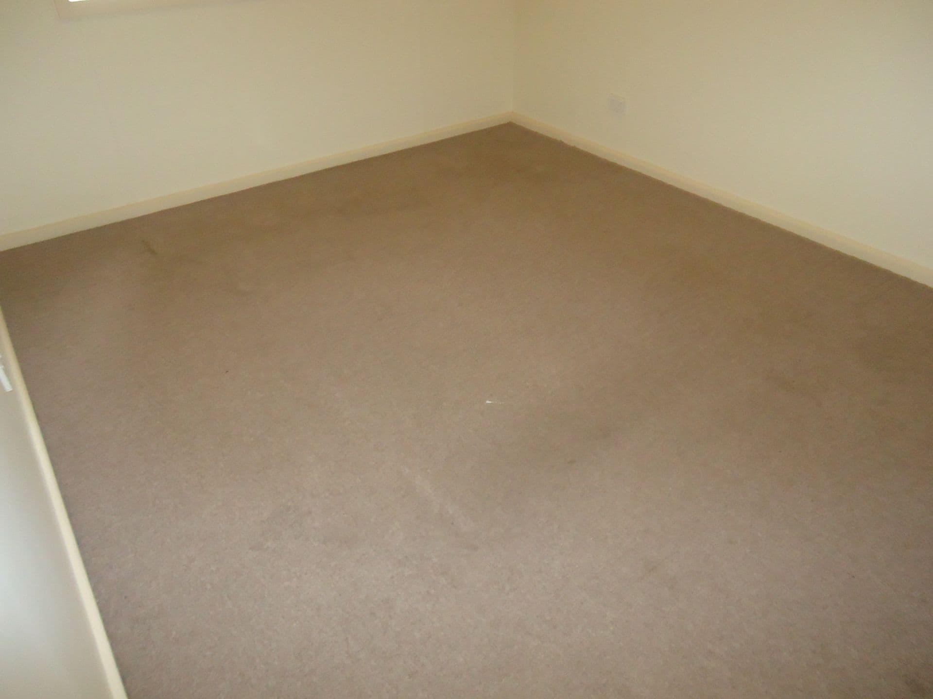 29 Young Street, Port Pirie, SA, 5540, Solomontown - Thumbnail 7