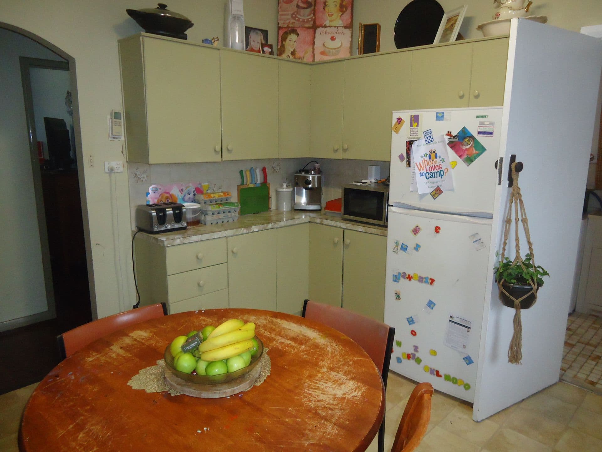 19 Magor Road, Port Pirie, SA, 5540, Port Pirie South - Thumbnail 2