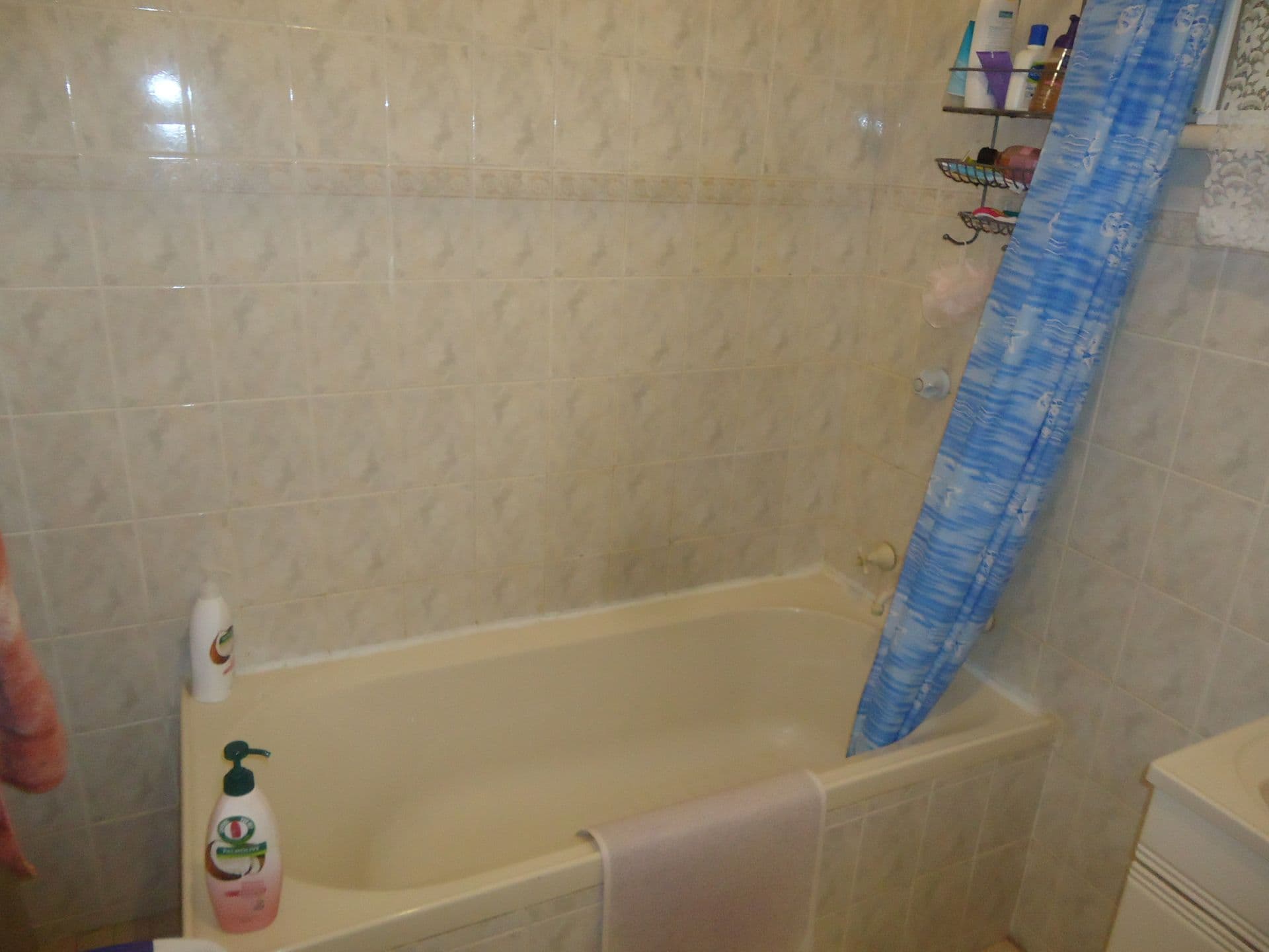 9 Balmoral Road, Port Pirie, SA, 5540, Port Pirie - Thumbnail 3