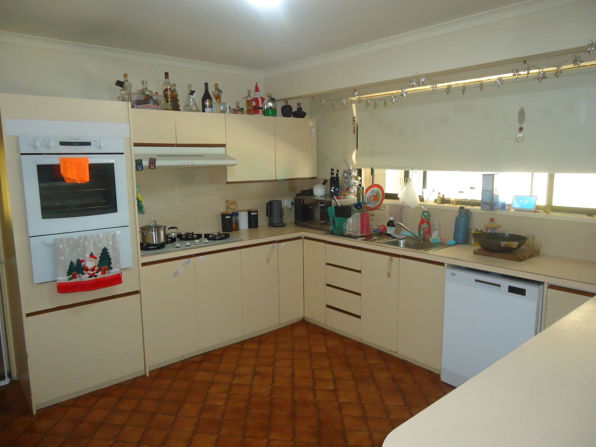 24 Pelham Road, Port Pirie, SA, 5540, Risdon Park South - Thumbnail 2