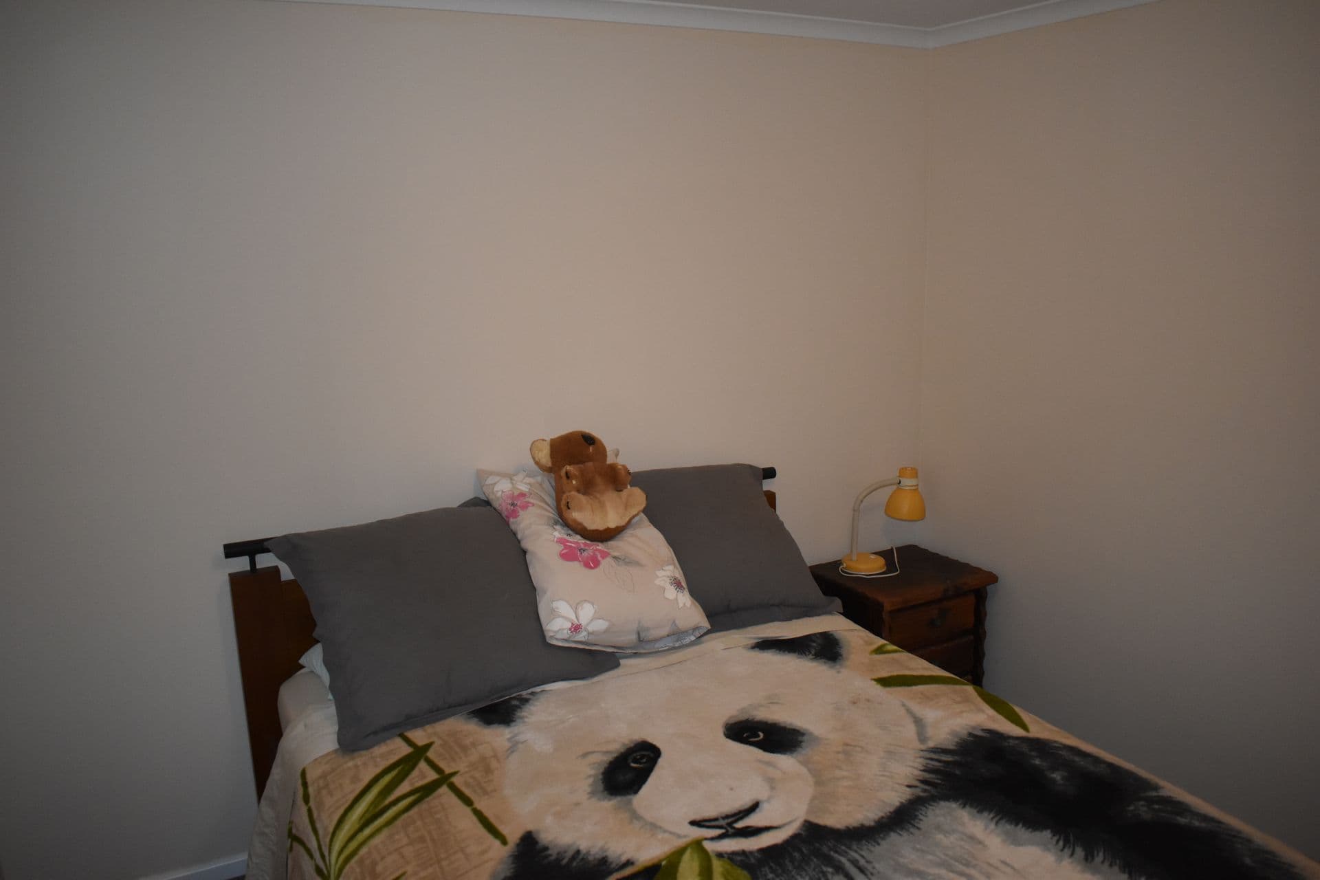 51 Three Chain Road, Port Pirie, SA, 5540, Solomontown - Thumbnail 6
