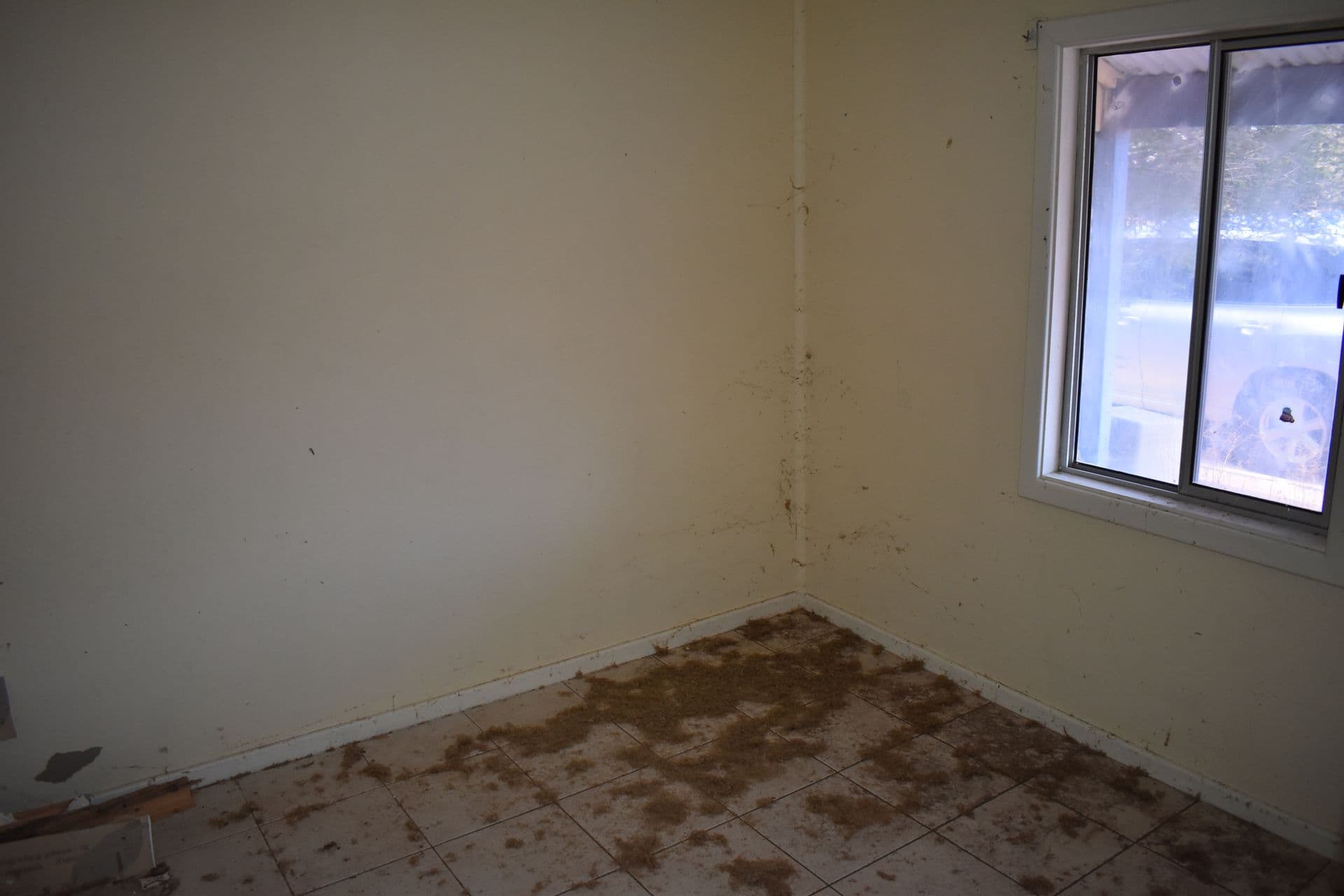 1 Read Street, Port Pirie, SA, 5540, Port Pirie West - Thumbnail 7