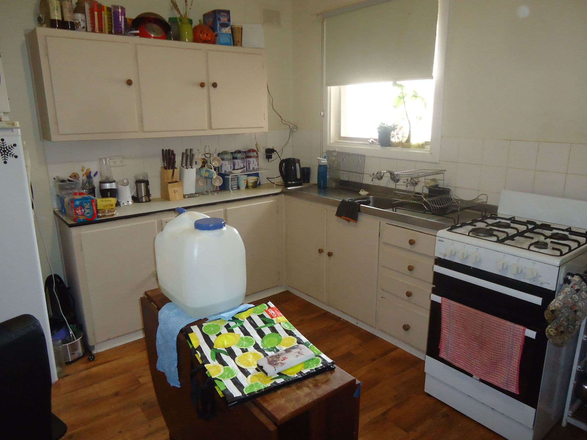 22 Blight Street, Port Pirie, SA, 5540, Risdon Park South - Thumbnail 2