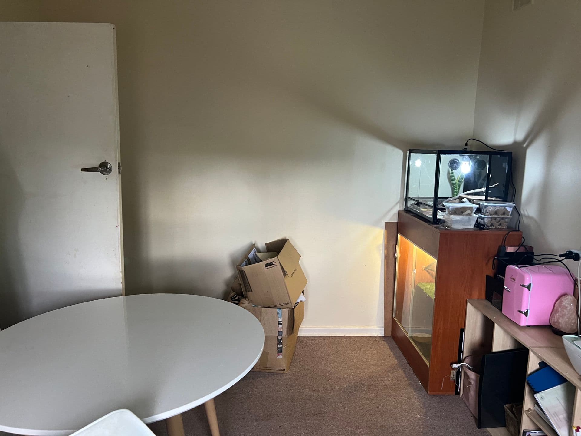 2 Trelawney Street, Port Pirie, SA, 5540, Risdon Park - Thumbnail 7