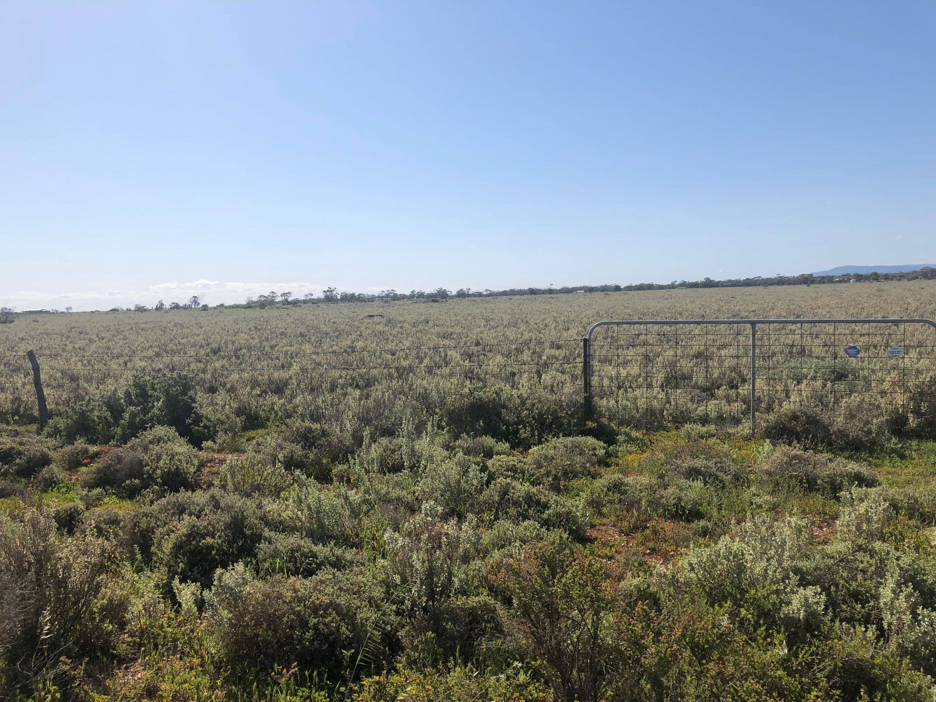147 Keeley Road, Port Germein, SA, 5495, Port Germein - Thumbnail 2