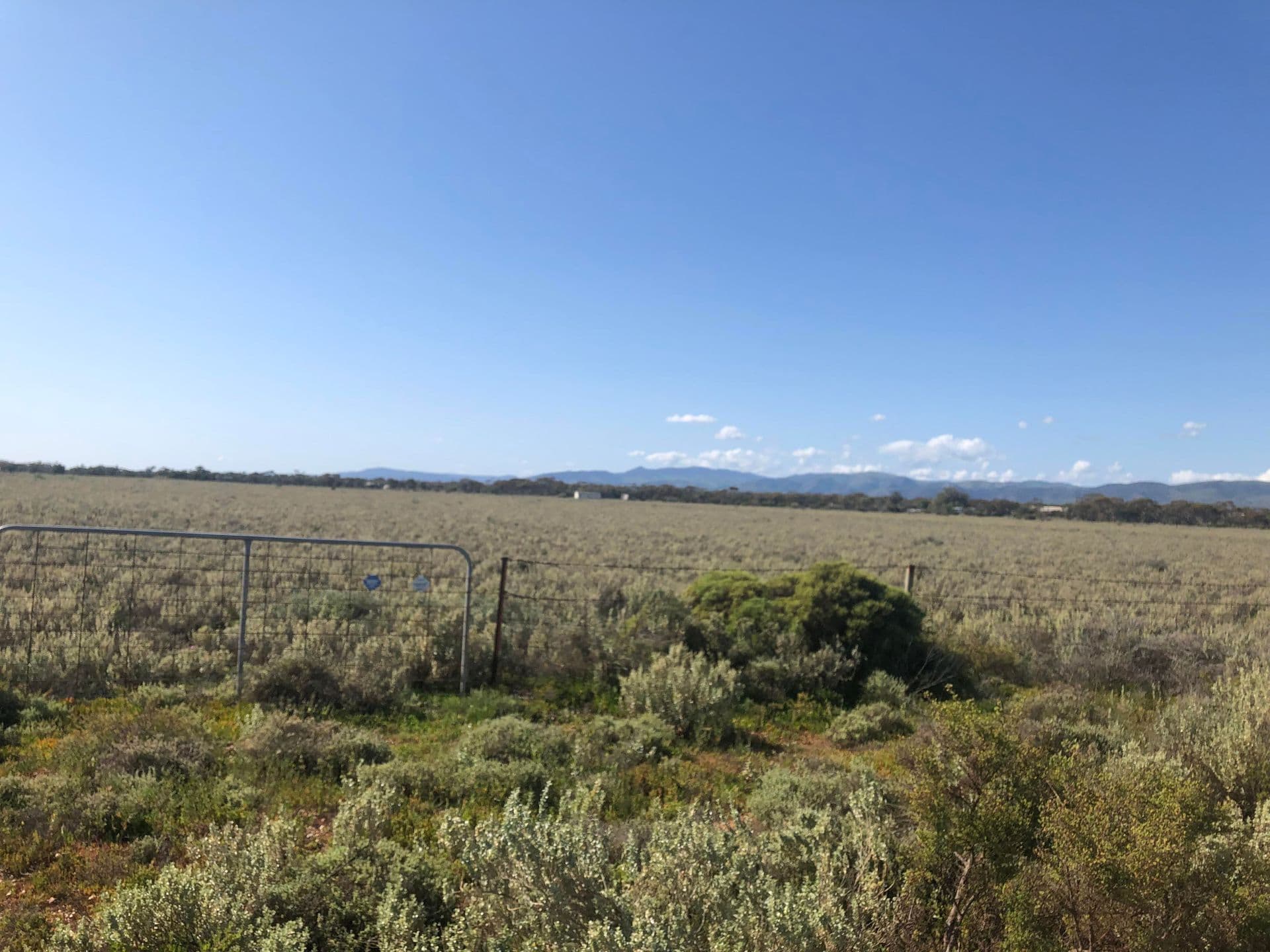 147 Keeley Road, Port Germein, SA, 5495, Port Germein - Thumbnail 3