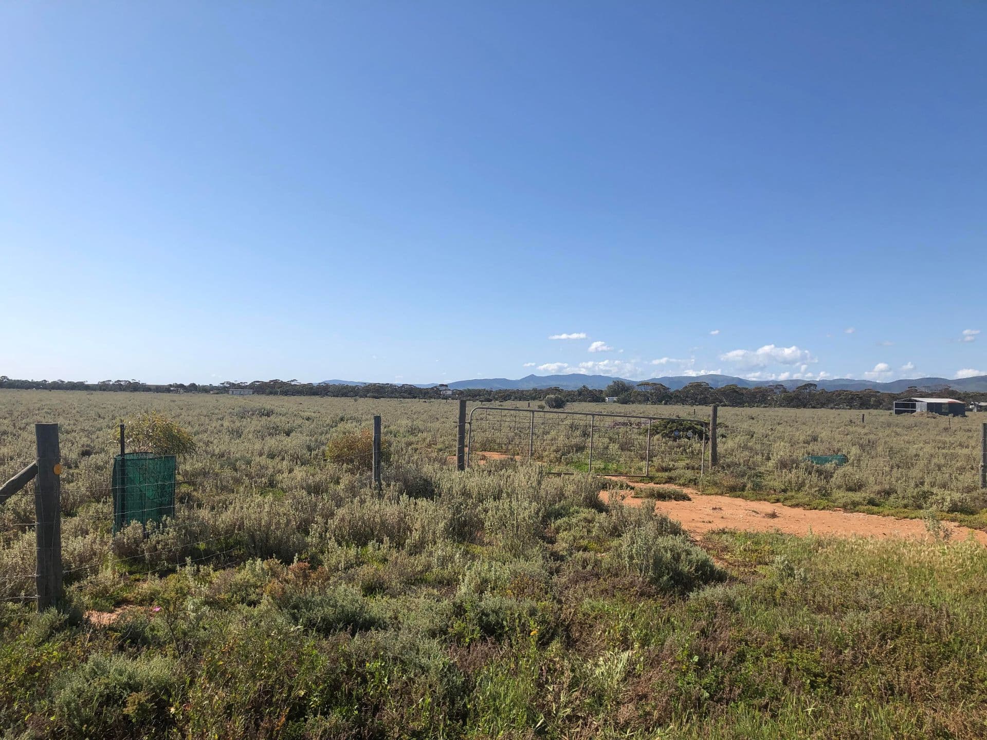 147 Keeley Road, Port Germein, SA, 5495, Port Germein - Thumbnail 4