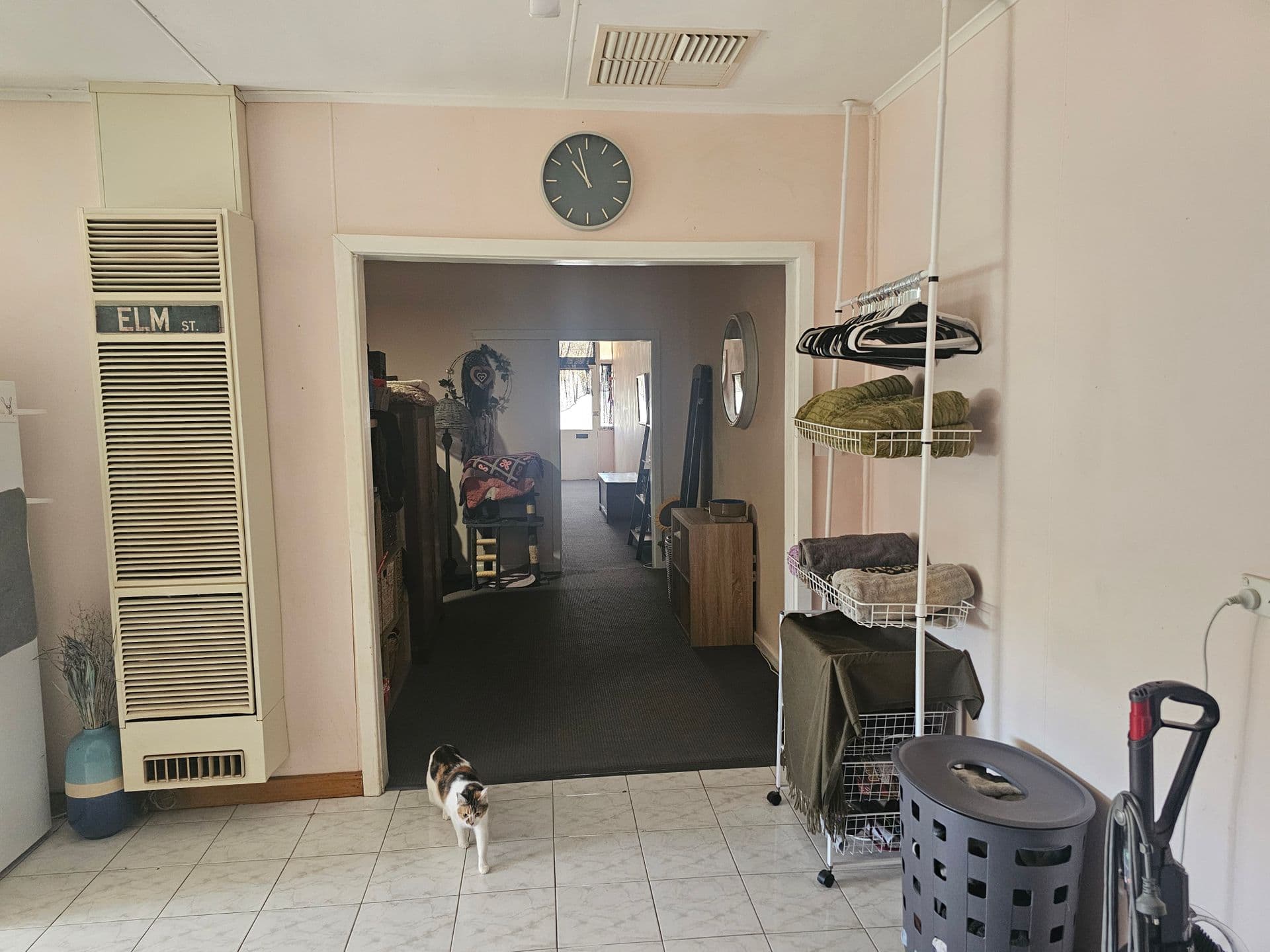 5 Warren Street, Port Pirie, SA, 5540, Port Pirie South - Thumbnail 6