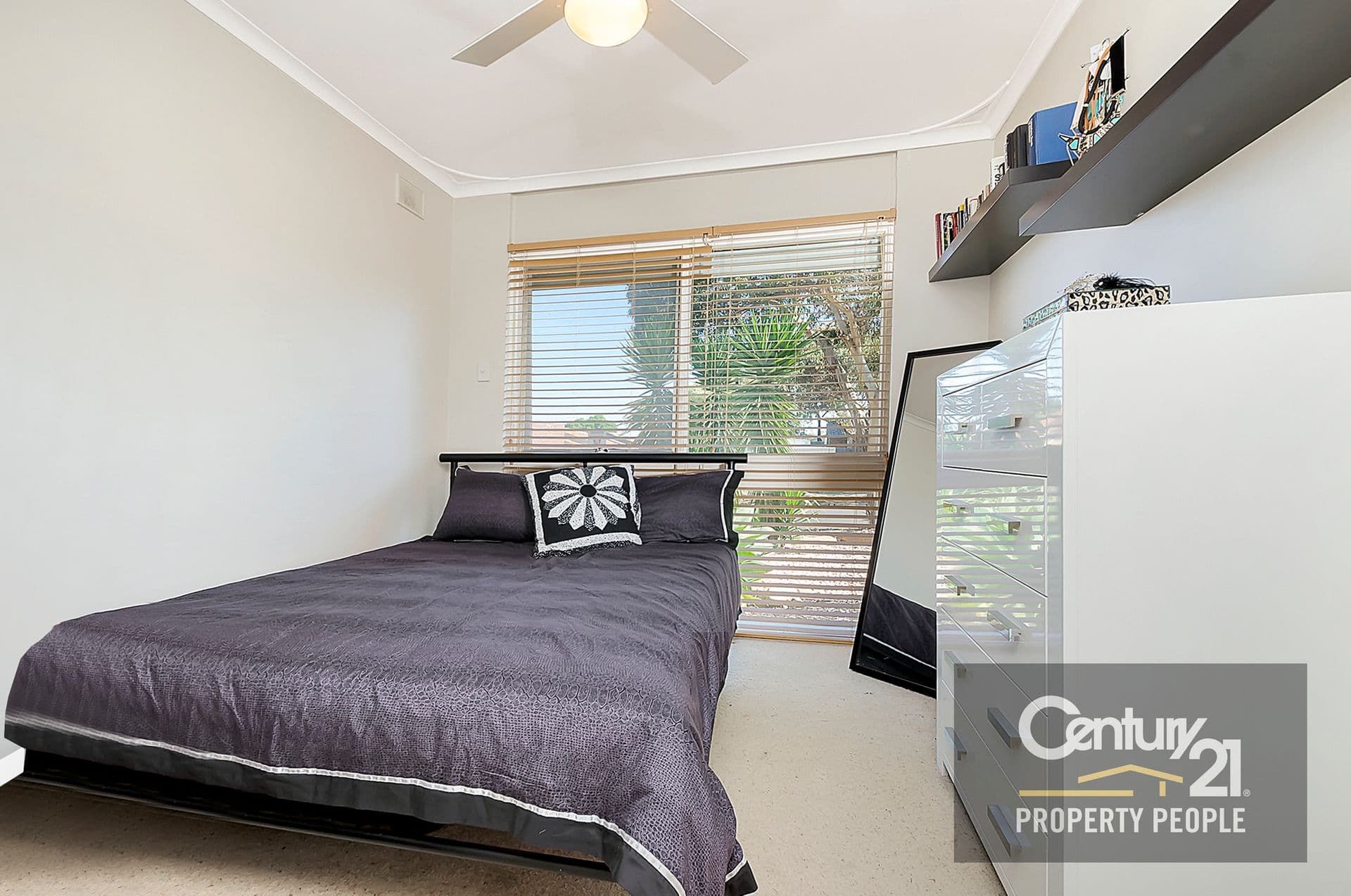 43 Douglas Road, Salisbury East, SA, 5109, Salisbury East - Thumbnail 8