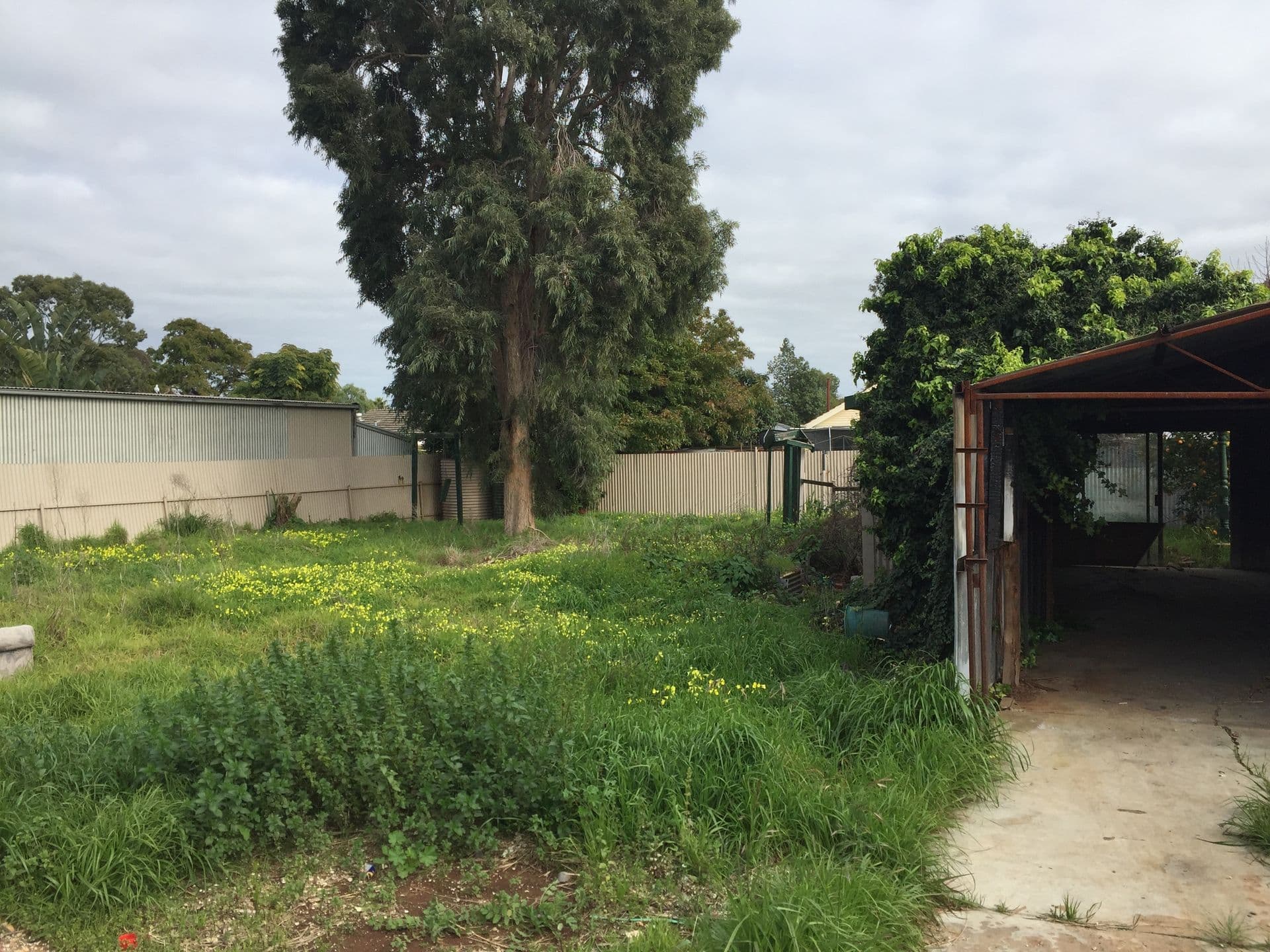 565 Main North Road, Elizabeth North, SA, 5113, Elizabeth North - Thumbnail 4
