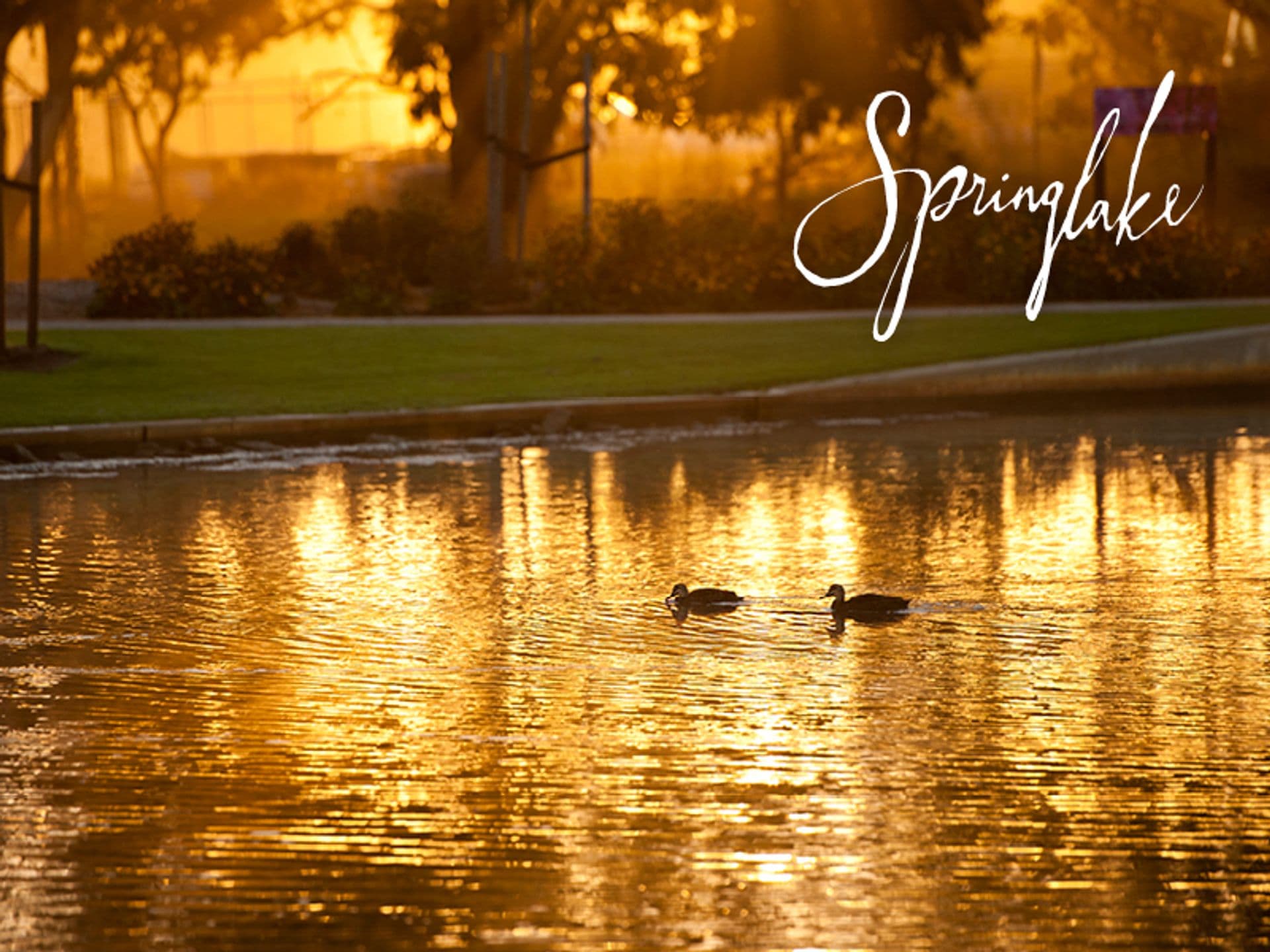2/1568 Main North Road, Salisbury South, SA, 5106, Mount Barker - Thumbnail 5