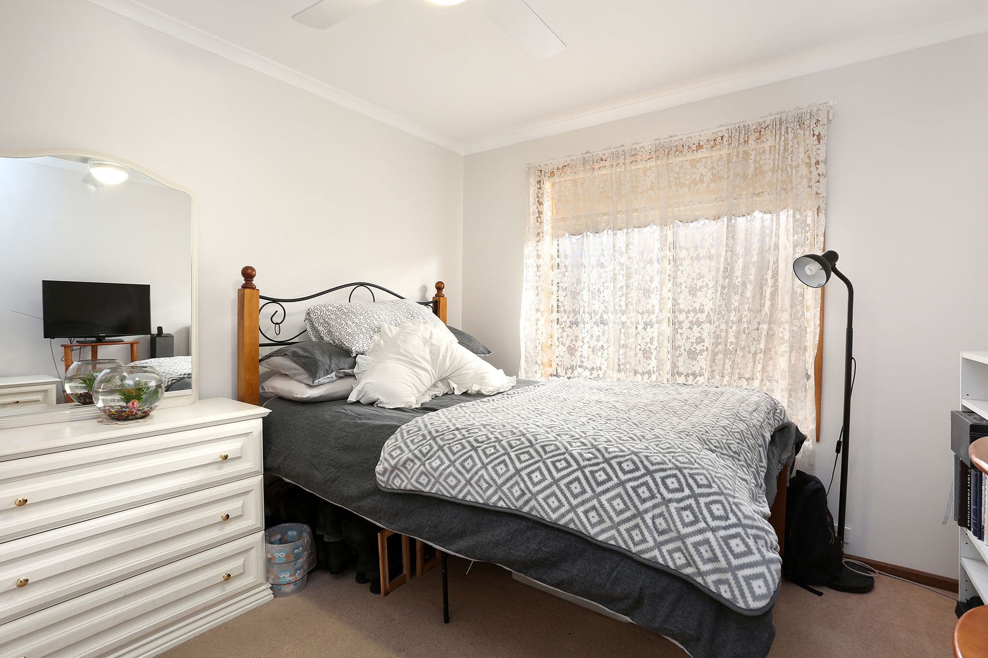 12 Conifer Court, Newton, SA, 5074, Newton - Thumbnail 8