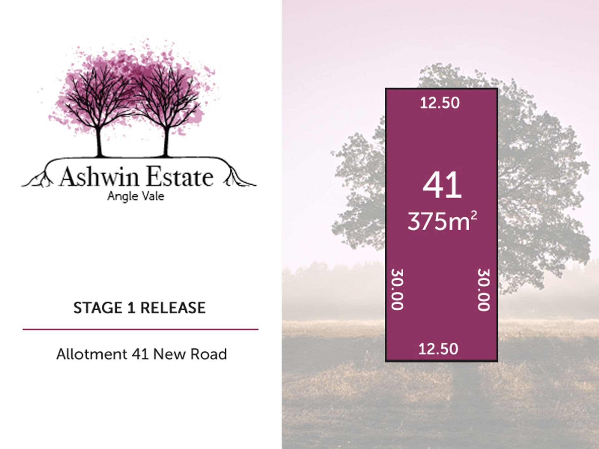 Lot 41 Luis Drive, Angle Vale, SA, 5117, Angle Vale - Image 1