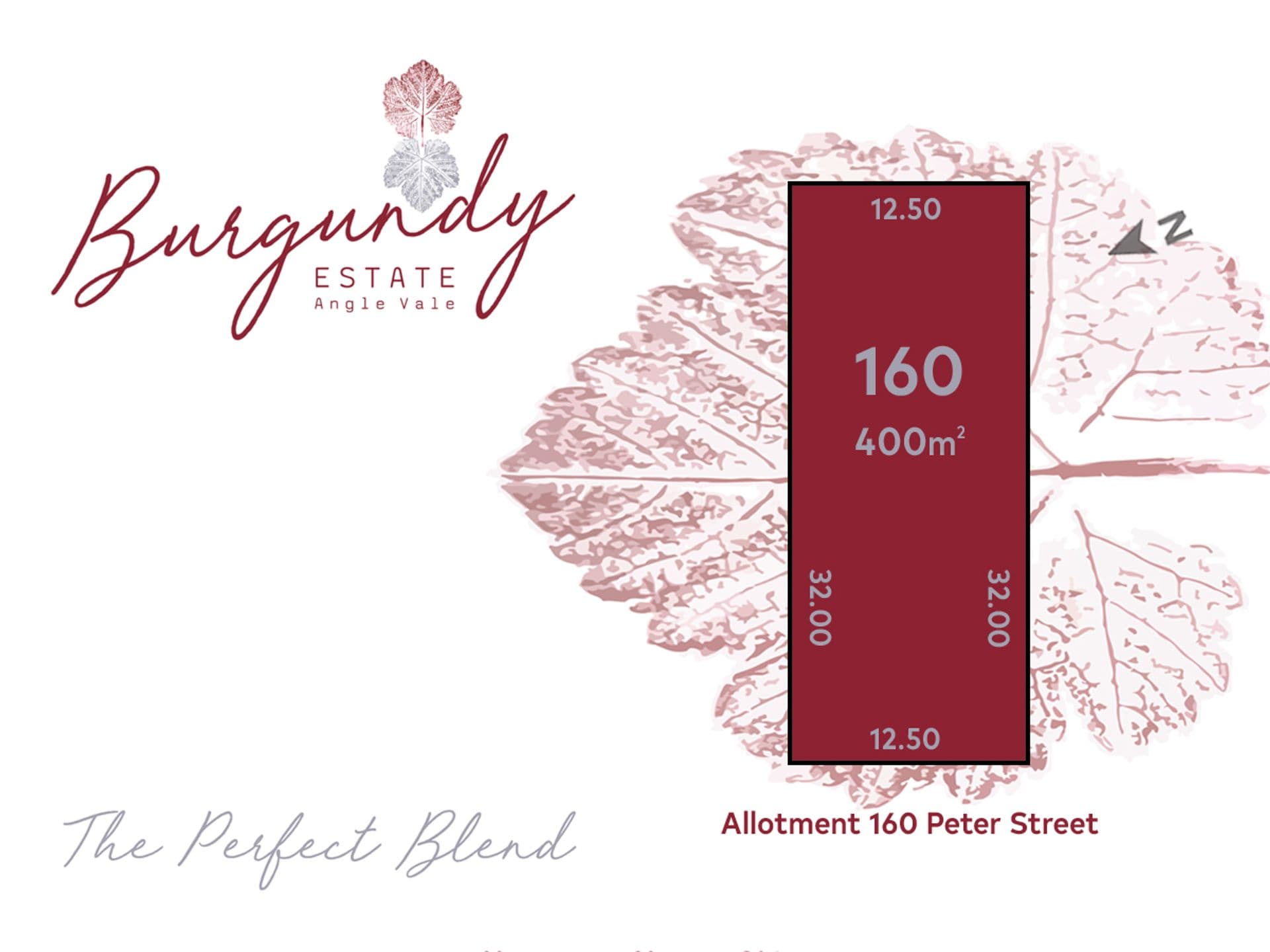 Lot 160 Peter Street, Angle Vale, SA, 5117, Angle Vale - Image 1