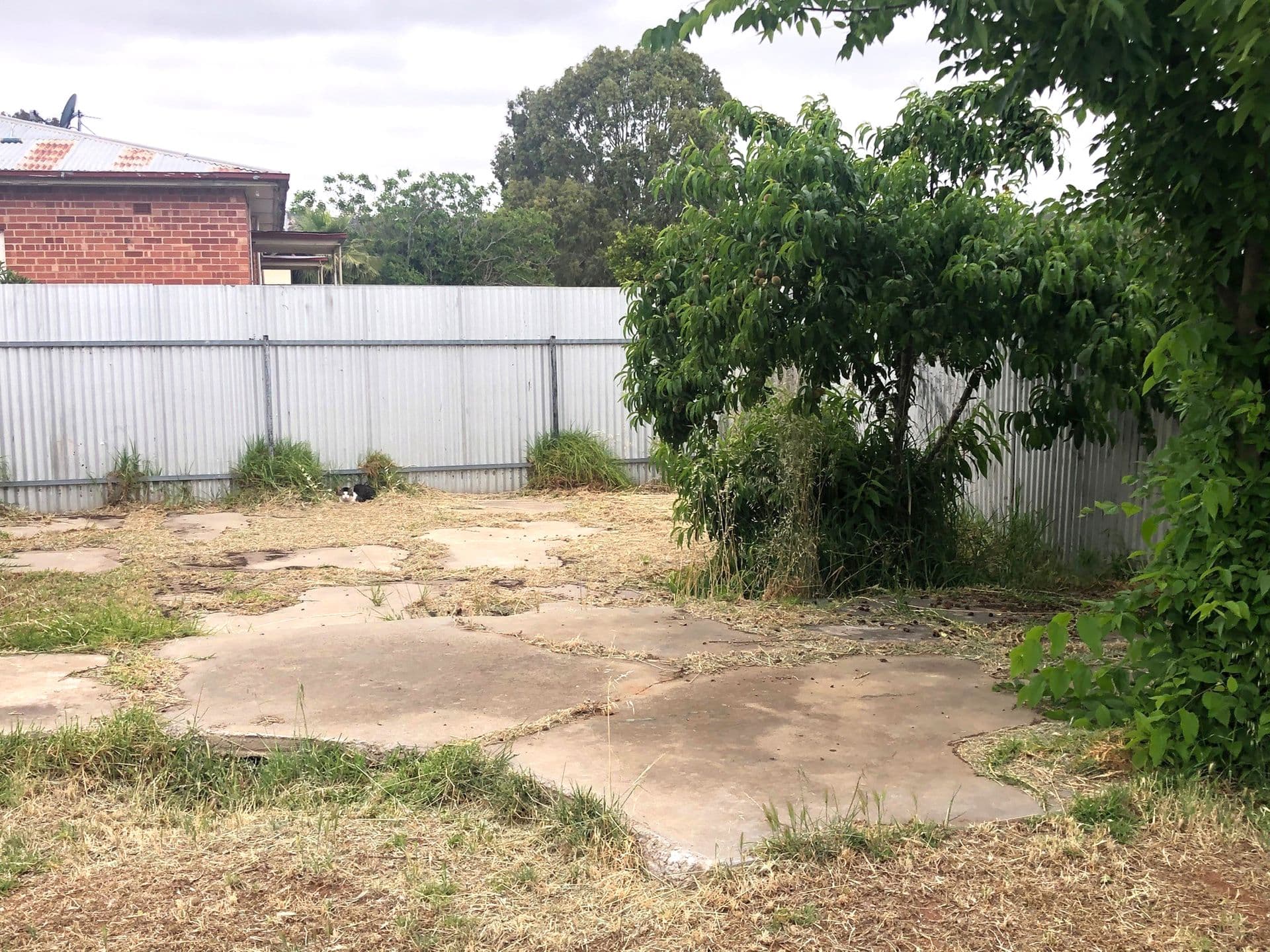 9 Grayling Street, Elizabeth East, SA, 5112, Elizabeth East - Thumbnail 5