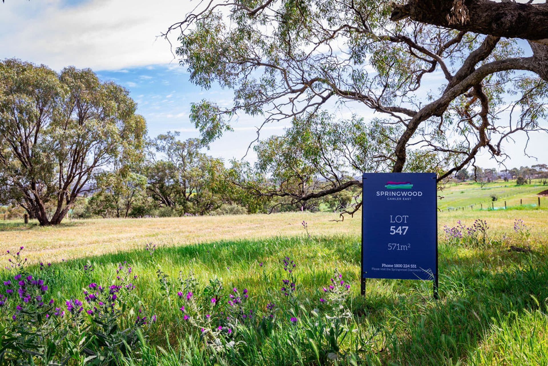 2/1568 Main North Road, Salisbury South, SA, 5106, Gawler East - Image 1