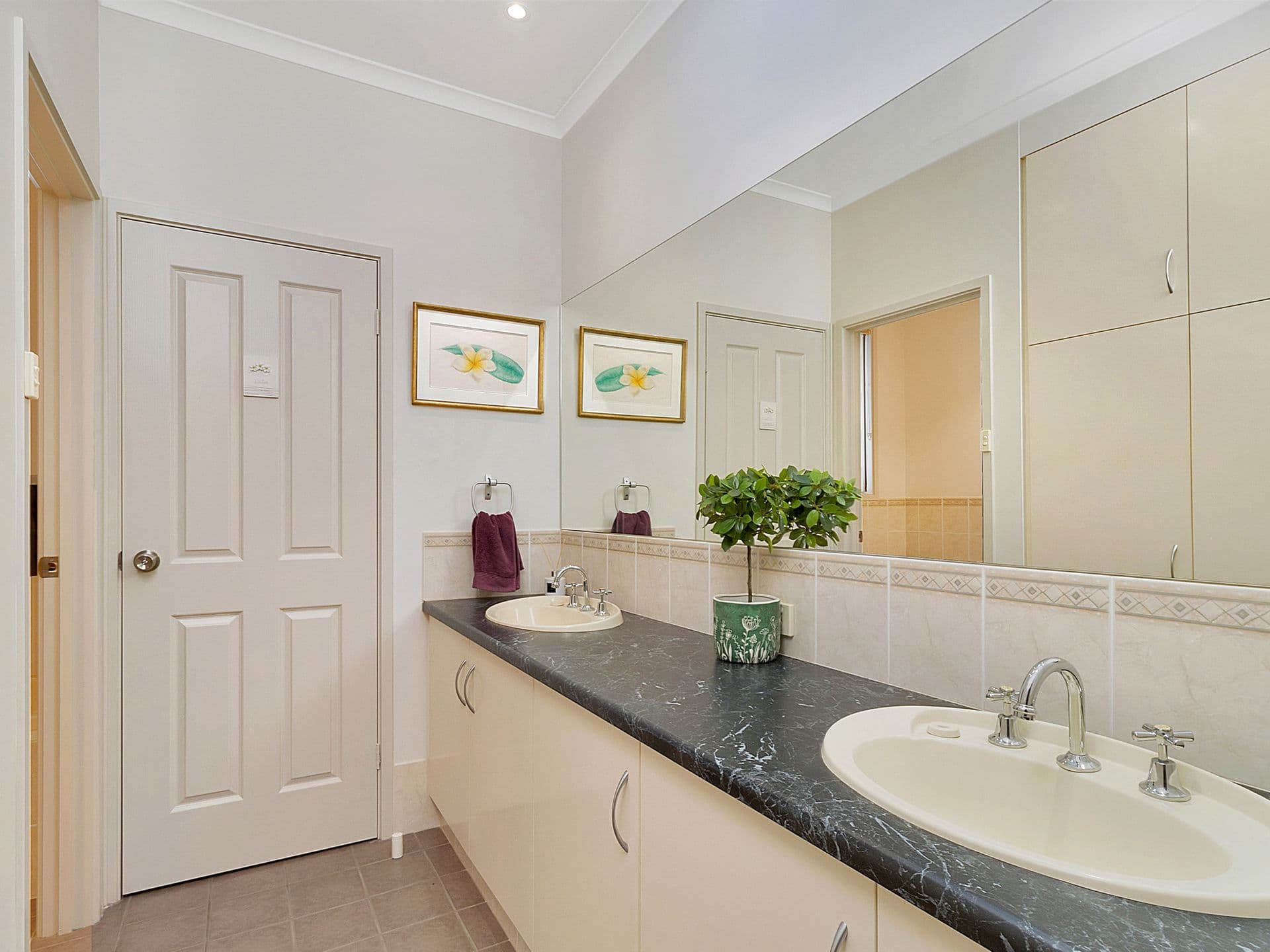 2A Rugby Street, Pasadena, SA, 5042, Pasadena - Thumbnail 7