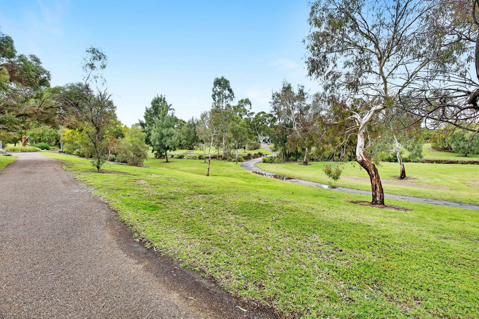 13 Parkdale Crescent, Mawson Lakes, SA, 5095, Mawson Lakes - Thumbnail 2