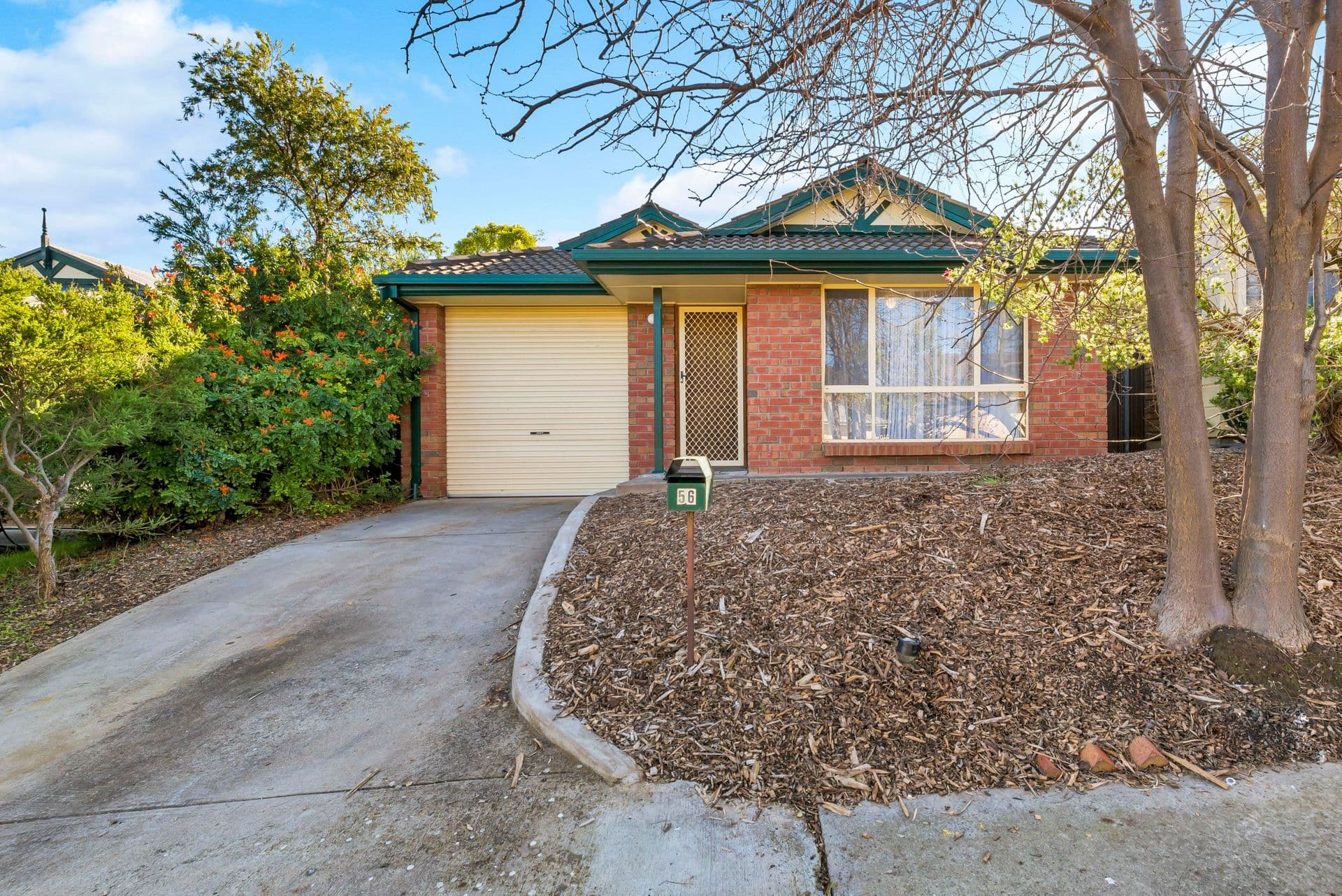 56 Noya Avenue, Modbury Heights, SA, 5092, Modbury Heights - Image 1