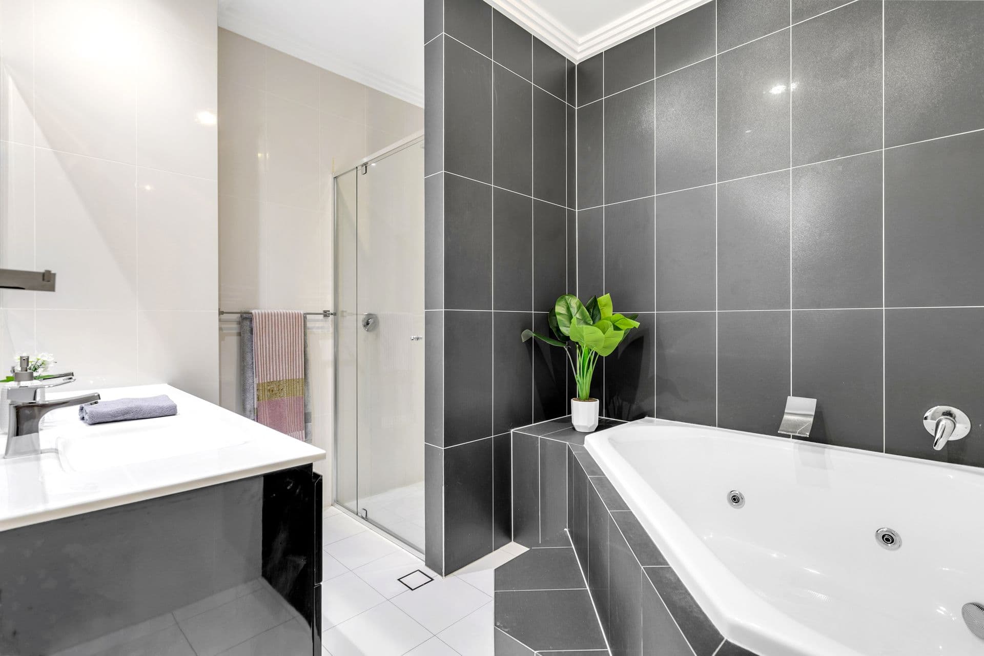 69 Macmillan Avenue, Mawson Lakes, SA, 5095, Mawson Lakes - Thumbnail 6