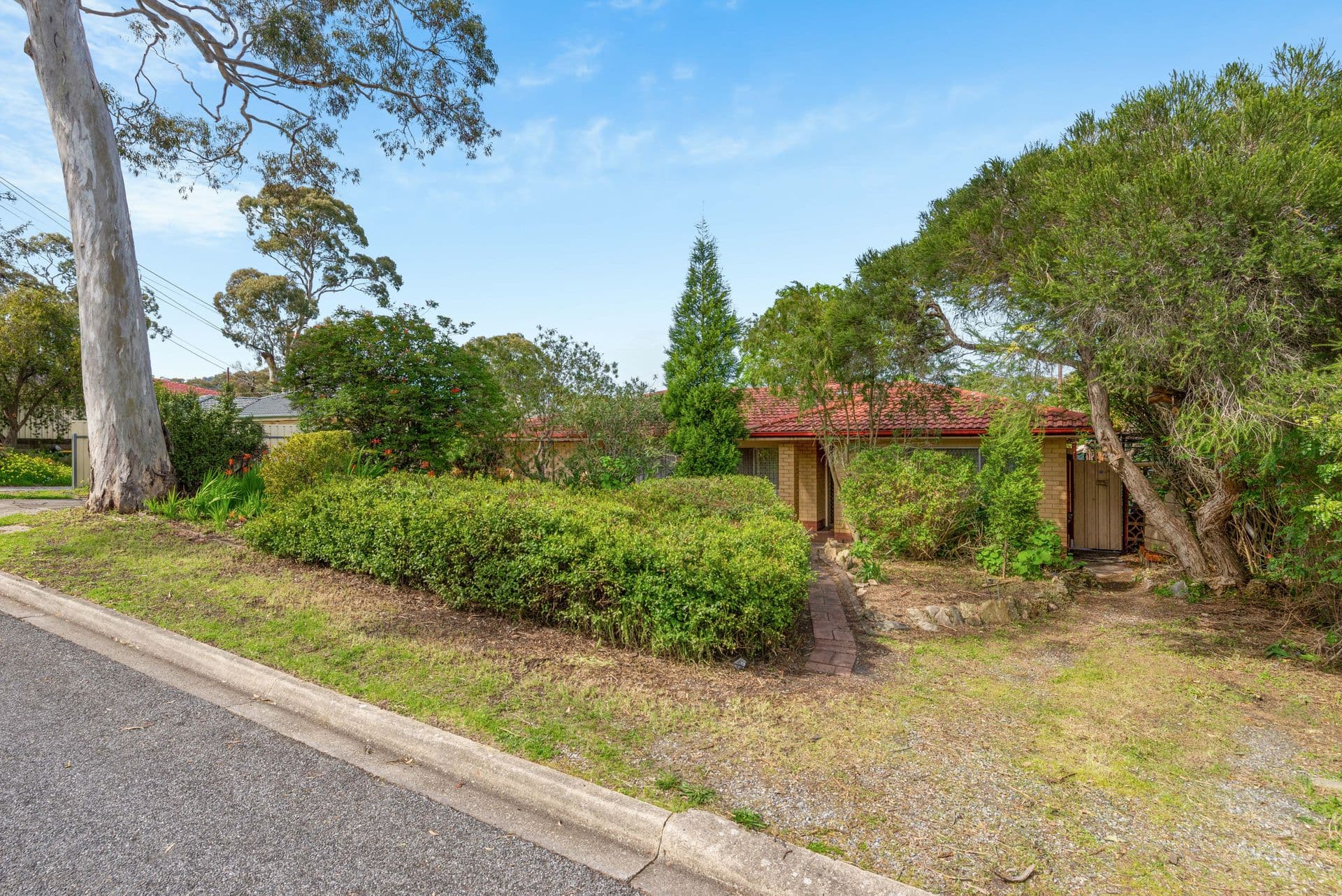 5 Caspar Street, Fairview Park, SA, 5126, Fairview Park - Image 1